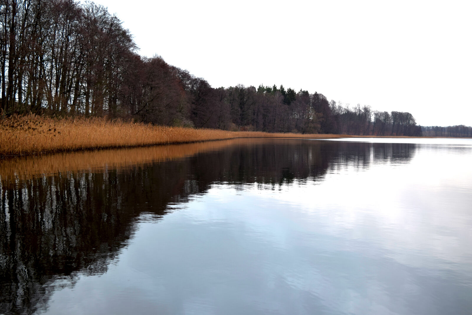 Nikon D3300 sample photo. Autumn, bory, tucholskie, lake photography