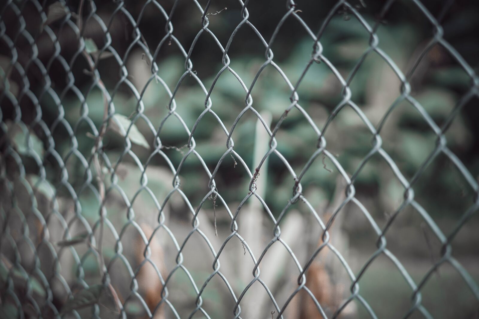 E 50mm F1.8 OSS sample photo. Fence, metal, wire photography