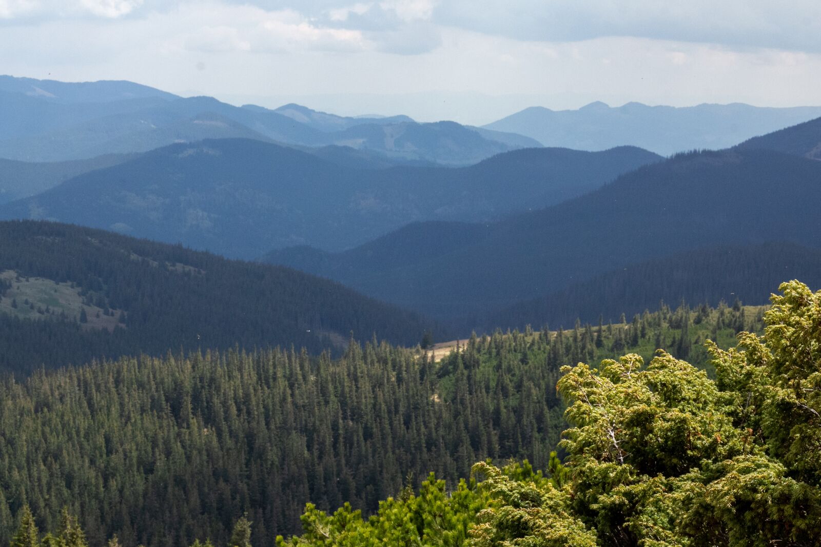 Canon EOS 60D + Canon EF 50mm F1.8 II sample photo. Mountains, landscape, goverla photography