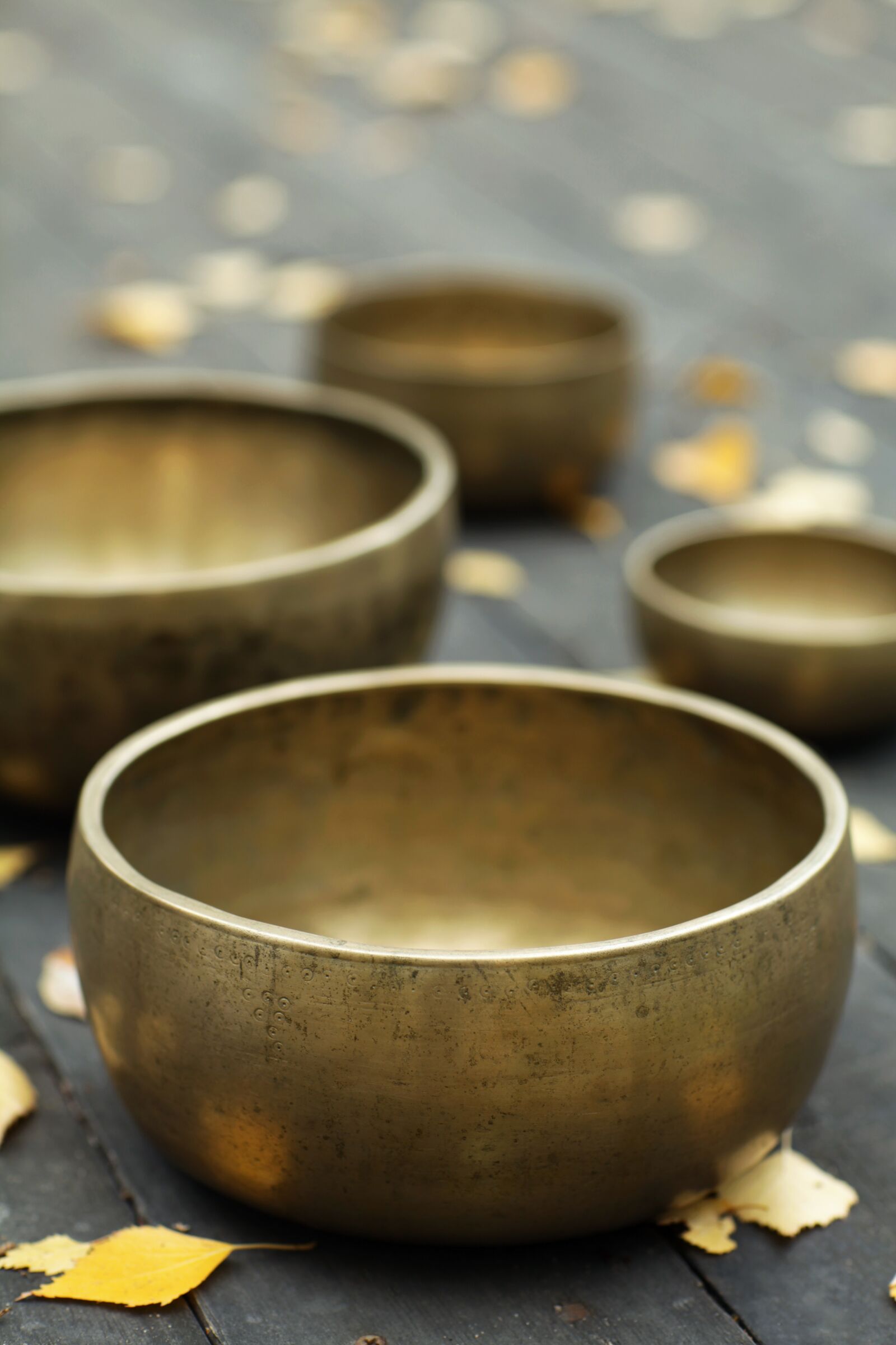 Canon EOS 5D Mark II sample photo. Singing bowls, himalayan singing photography