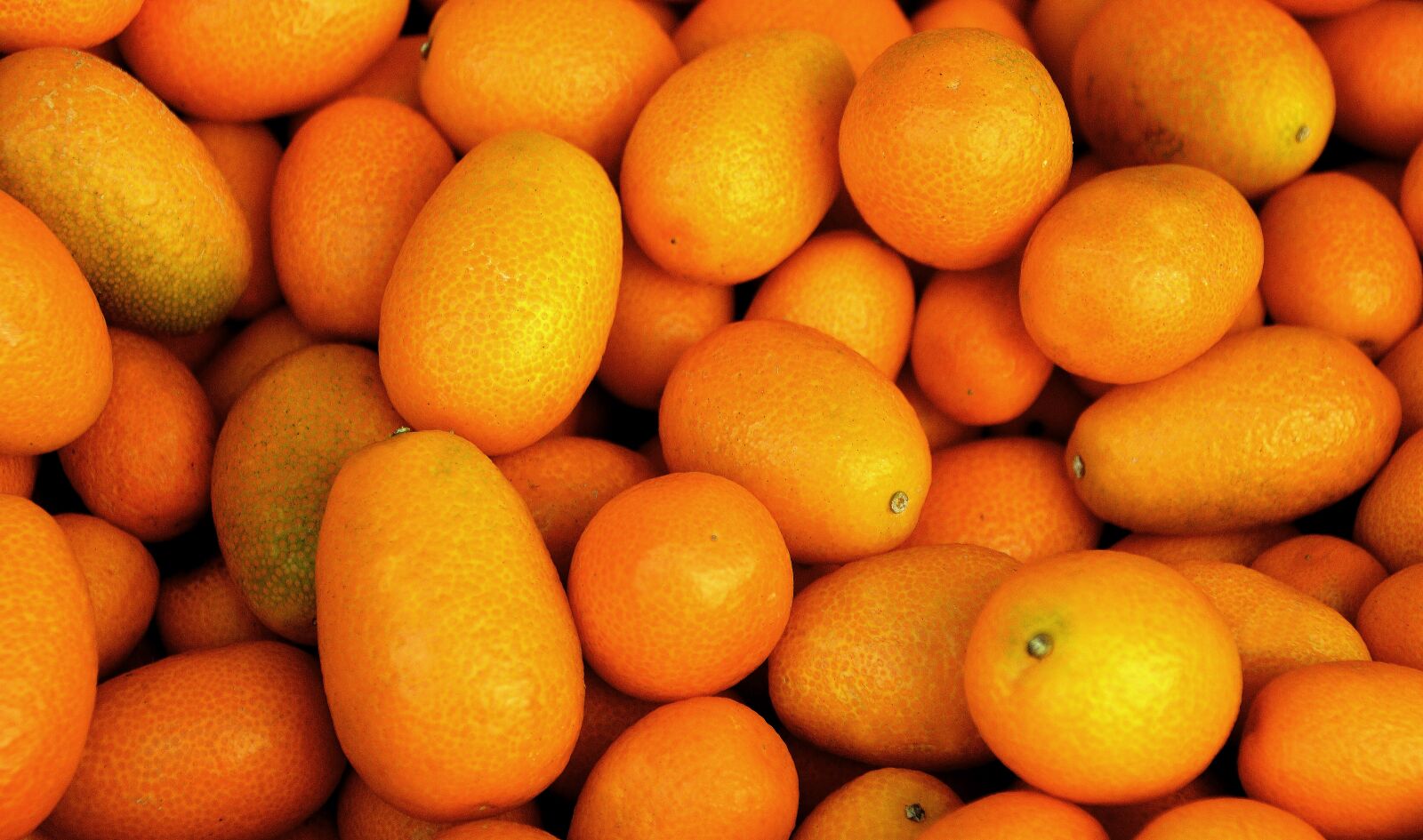 Nikon D3200 sample photo. Tropical fruit, fruit, orange photography