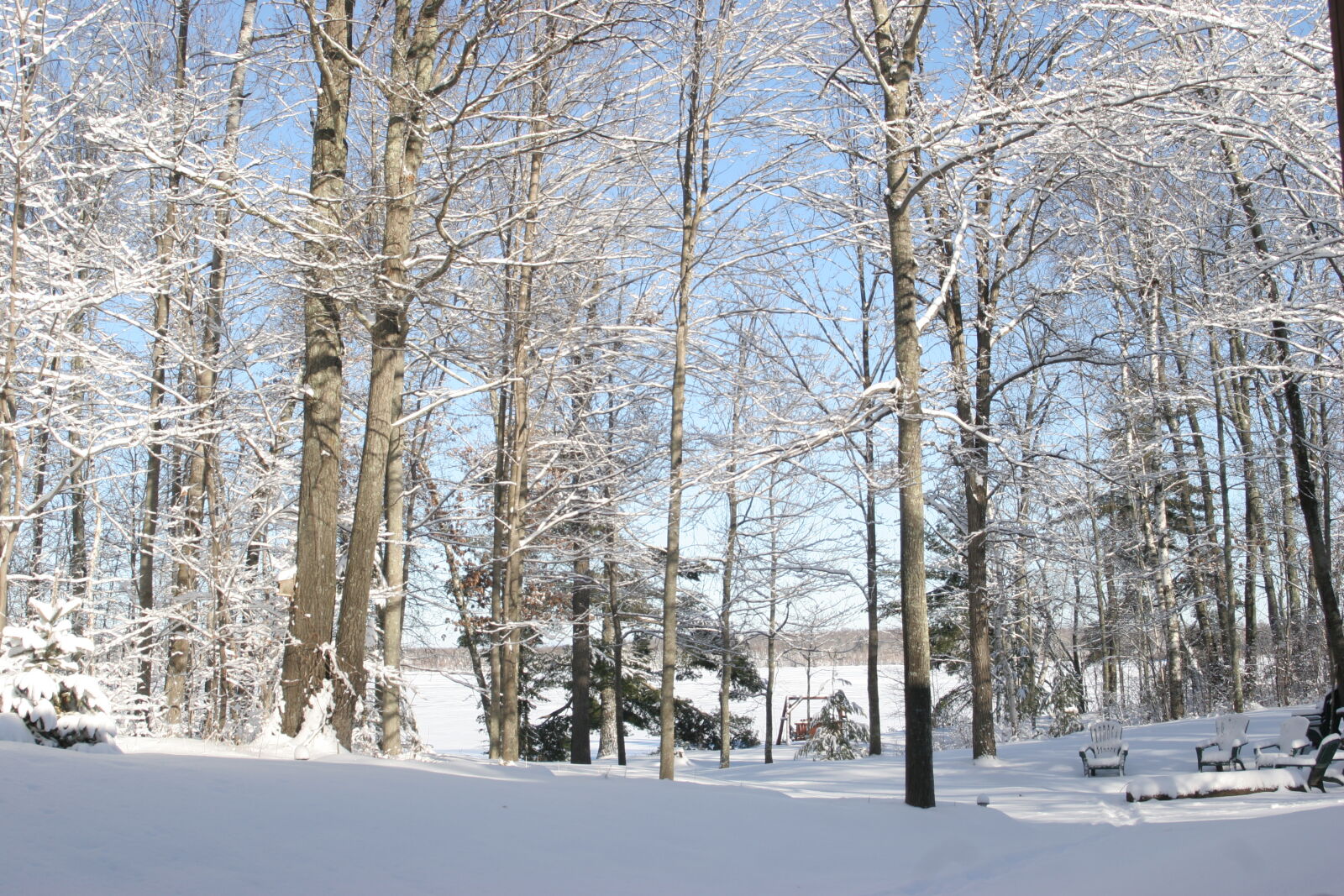 Canon EOS 20D sample photo. Fresh, snowfall, minnesota, winter photography