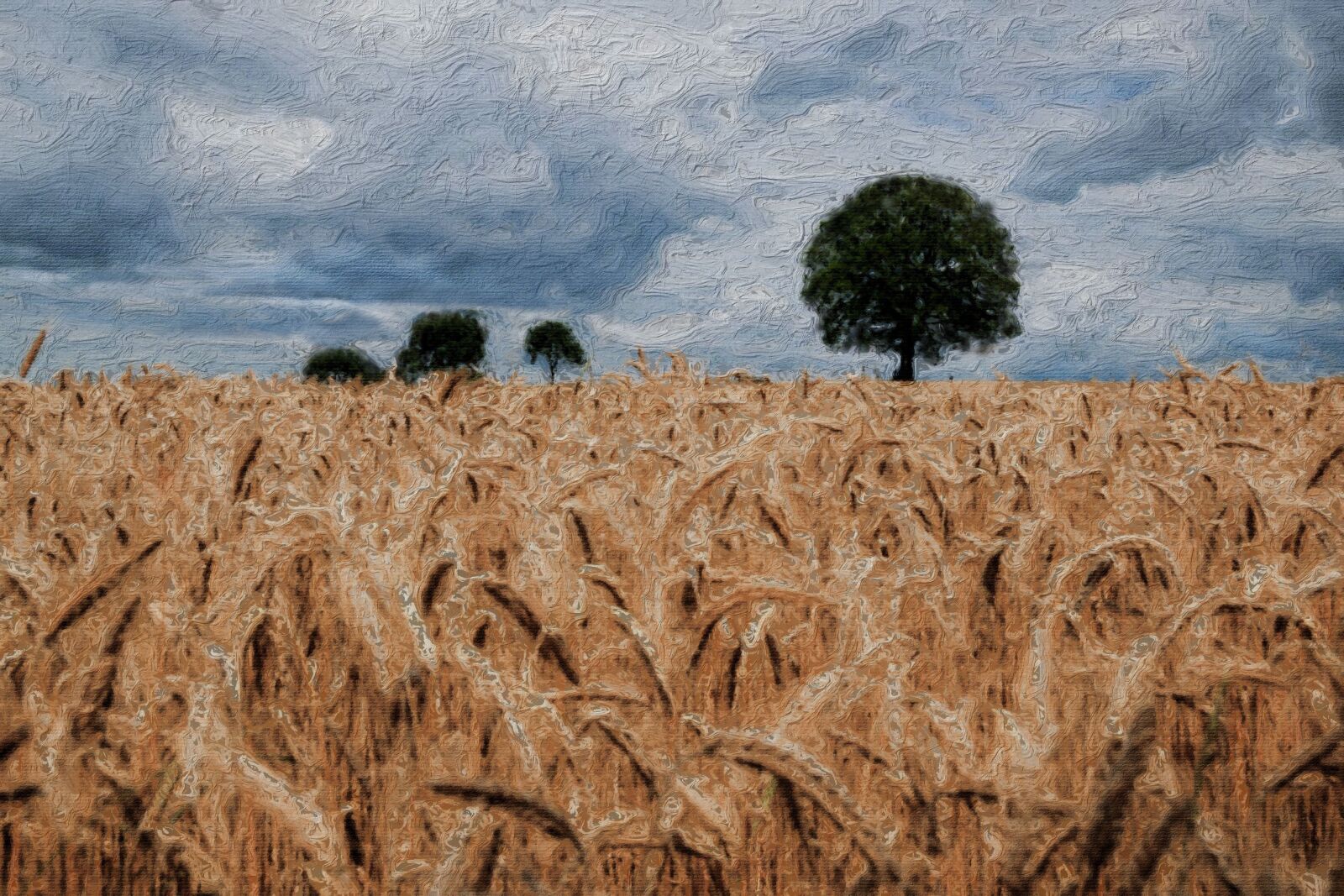 Nikon D3300 sample photo. Oil painting on canvas photography