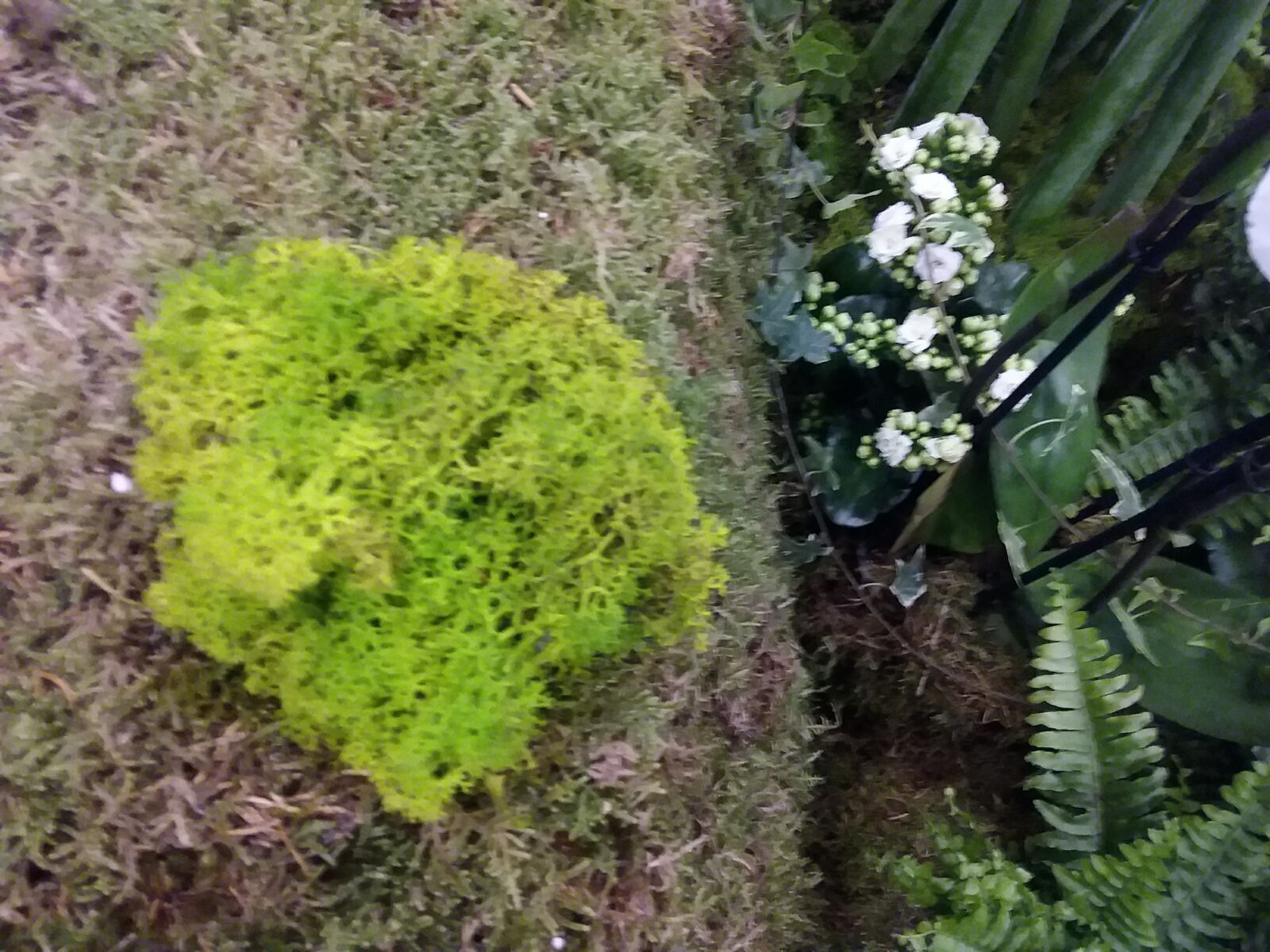 Samsung Galaxy J3(2016) sample photo