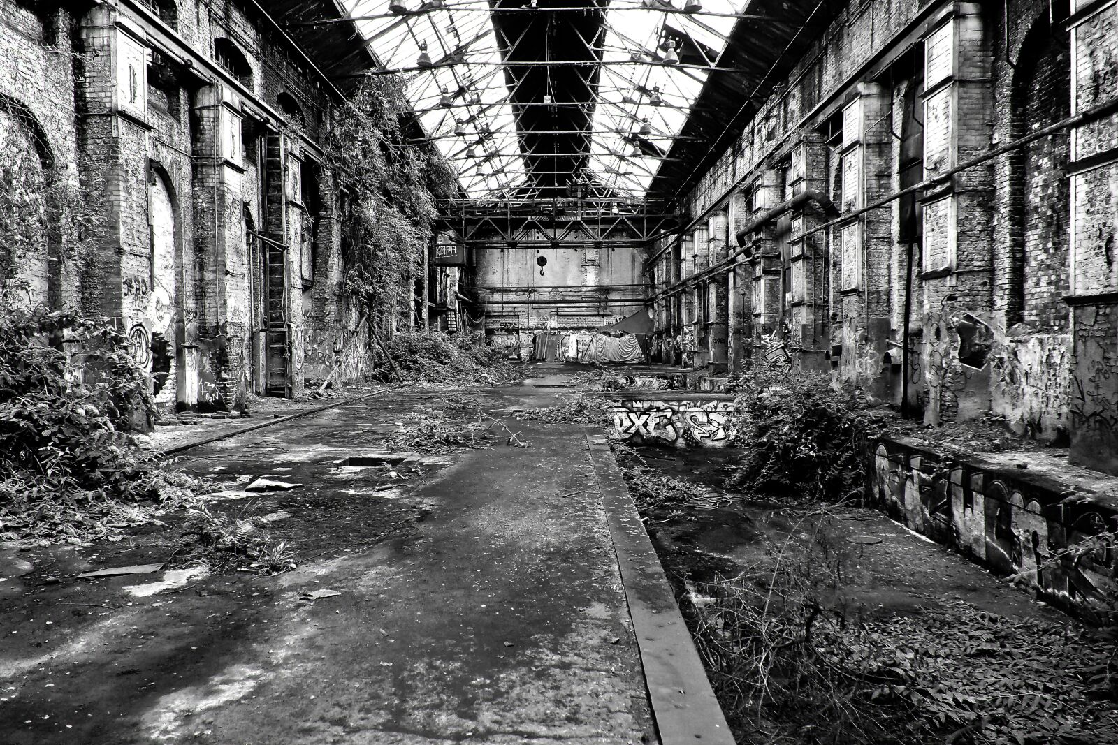 Olympus OM-D E-M10 sample photo. Lost places, rooms, abandoned photography