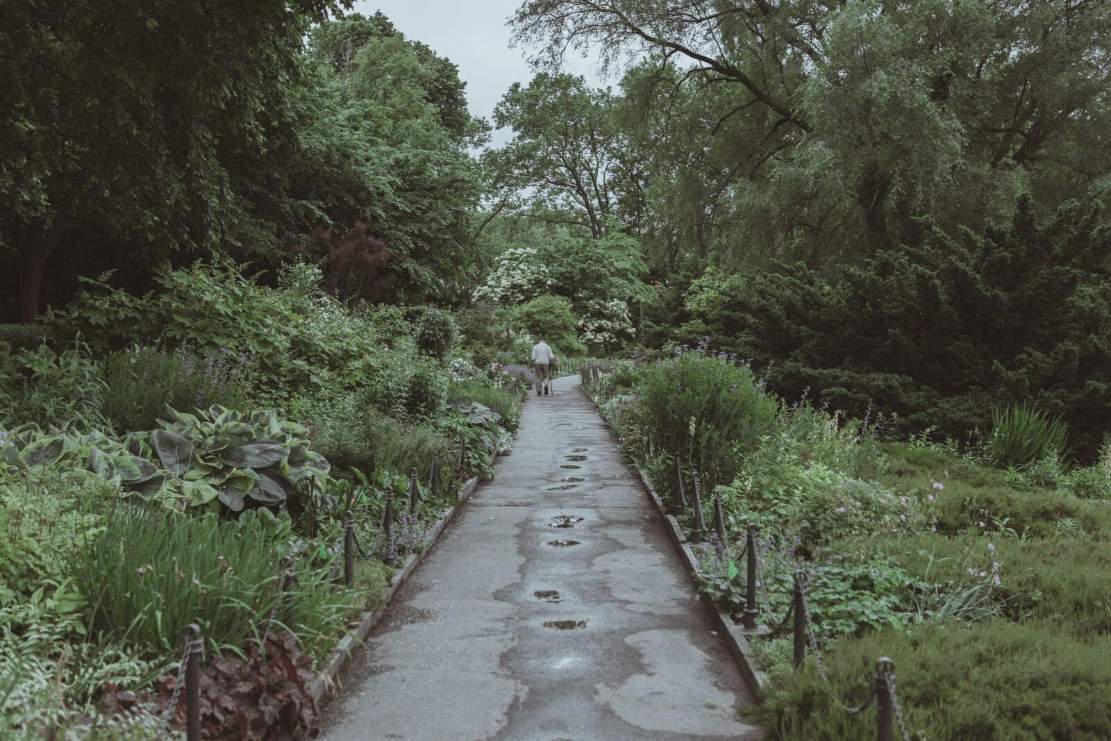 30mm F1.4 DC DN | Contemporary 016 sample photo