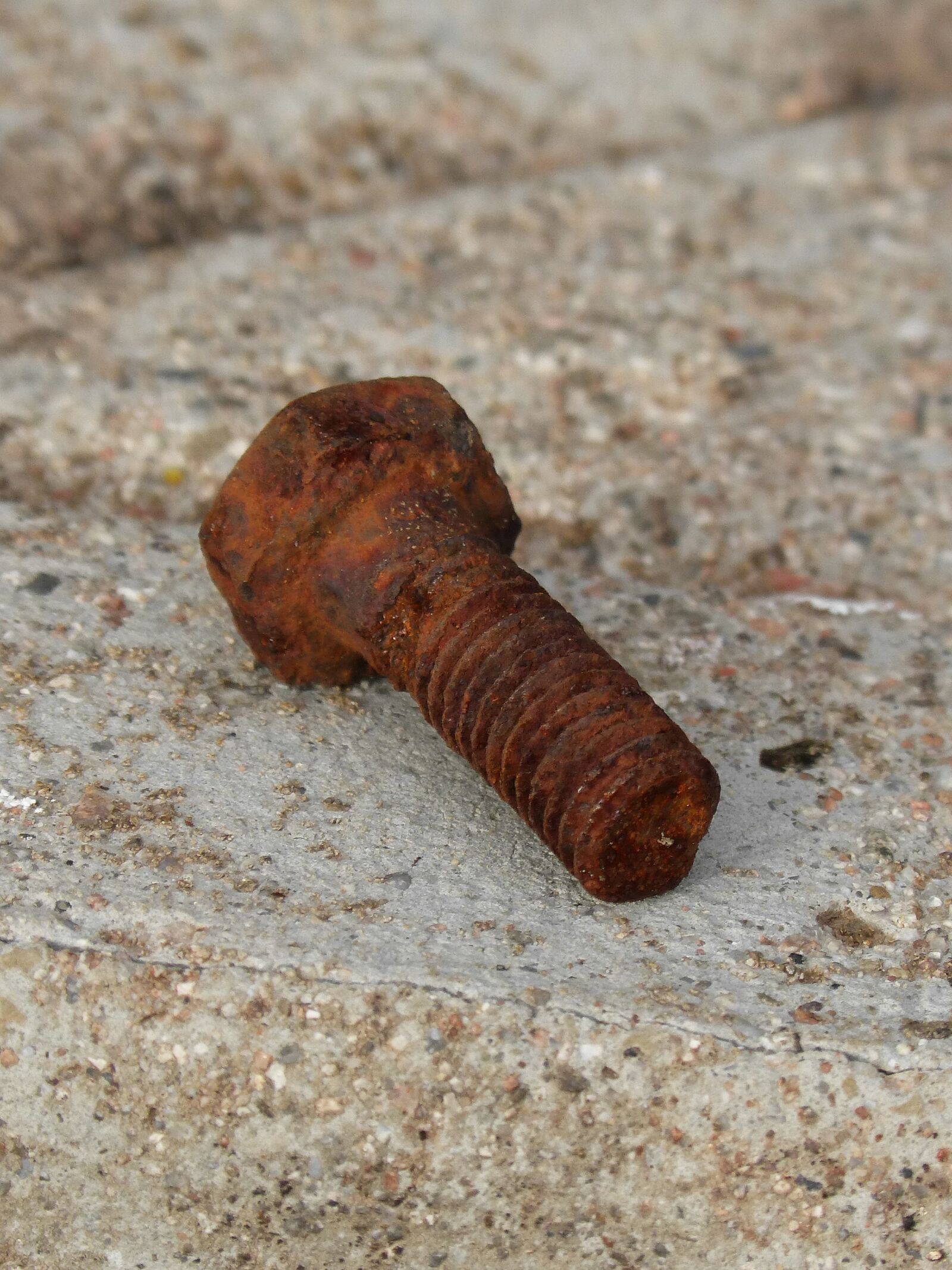 Panasonic DMC-FZ62 sample photo. Screw, iron, rusty photography