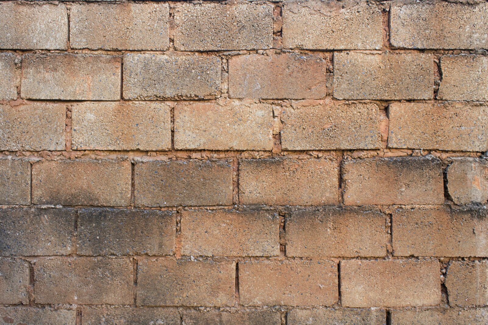 Canon EOS 1100D (EOS Rebel T3 / EOS Kiss X50) sample photo. Bricks, wall, exterior photography