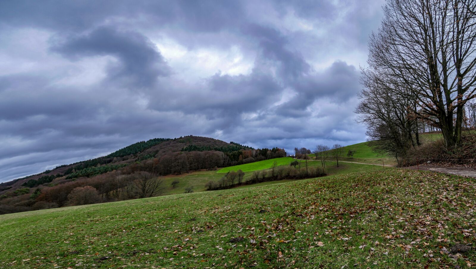 Panasonic Lumix DMC-GX8 sample photo. Odenwald, panorama, winter photography