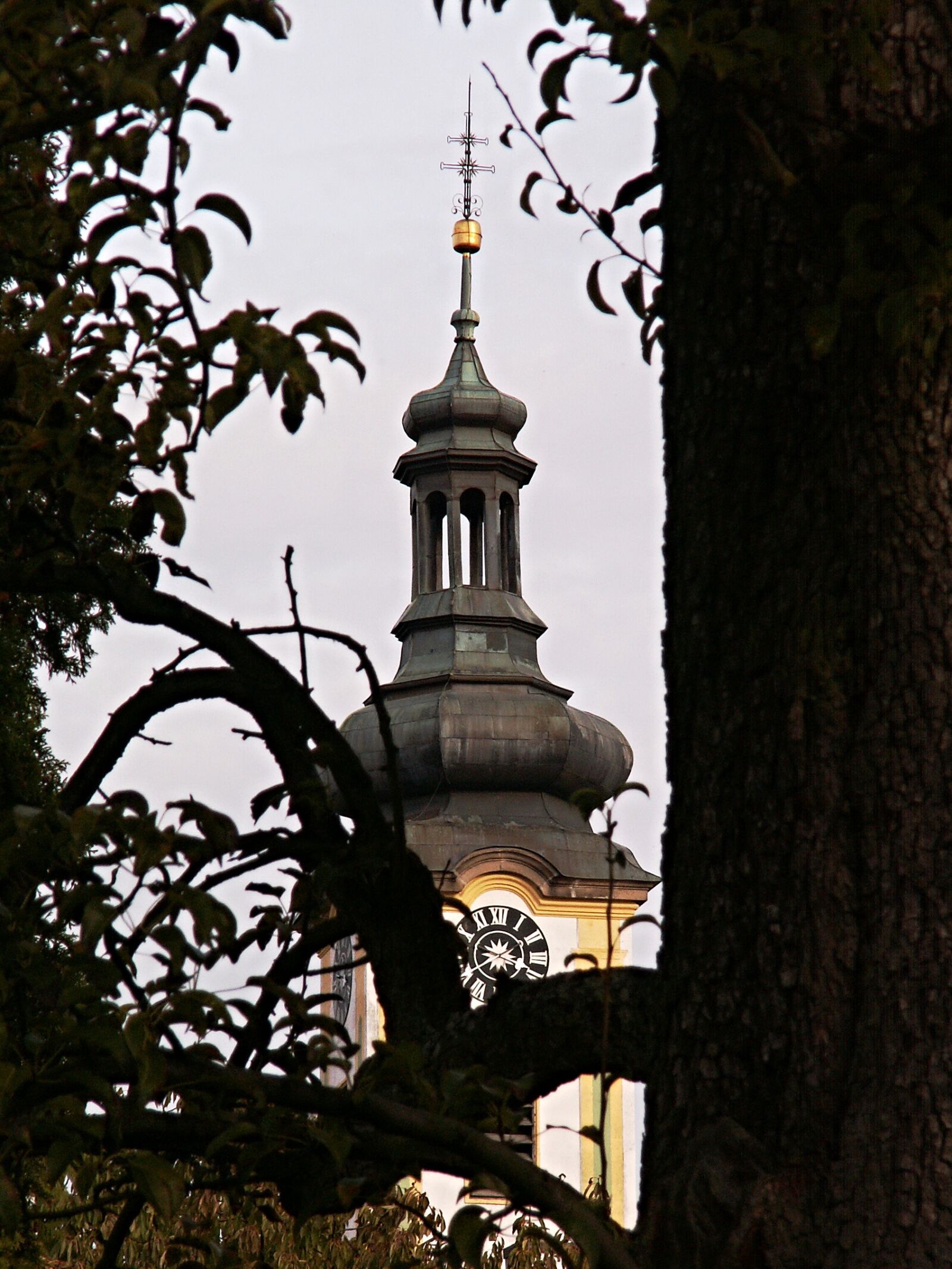 KONICA MINOLTA DiMAGE Z3 sample photo. Steeple, old tree, tower photography