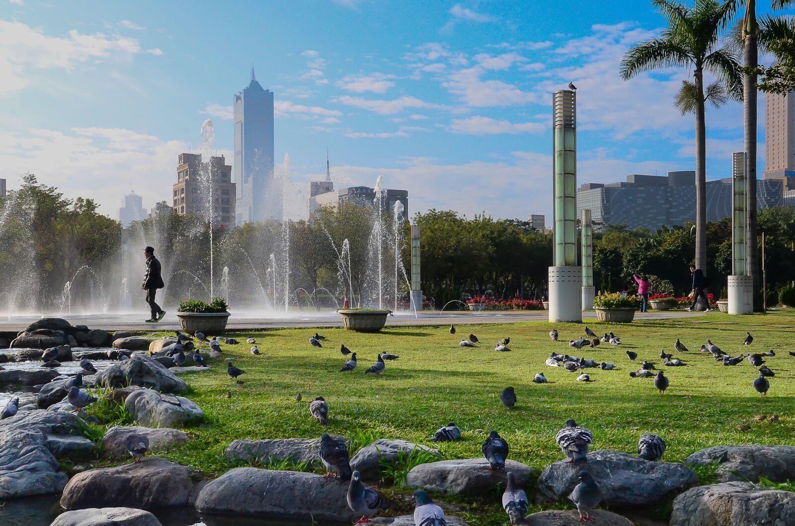 Nikon D7000 sample photo. Kaohsiung, central park, pigeon photography