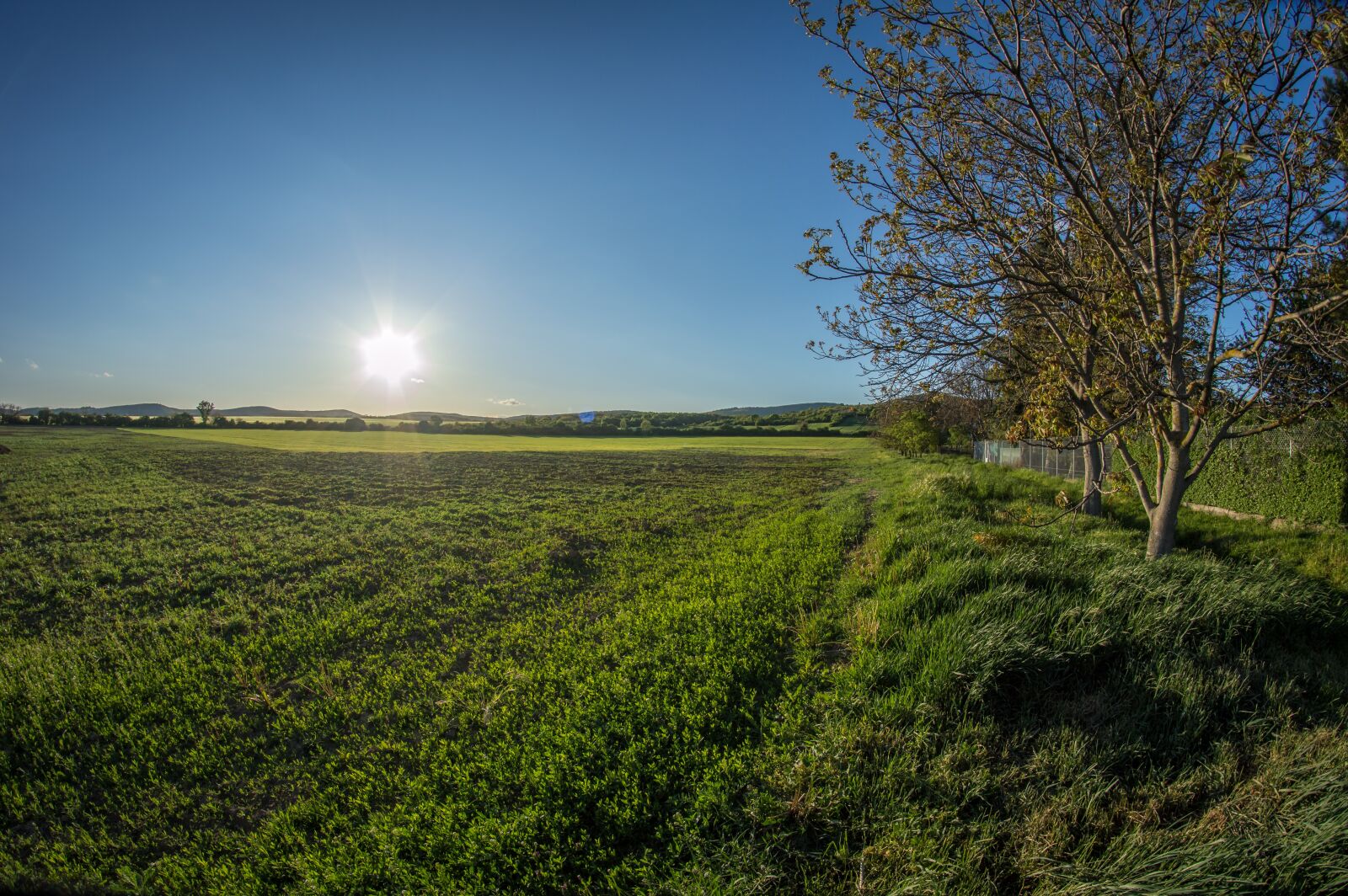Nikon D3200 sample photo. Nature, sunset, sun photography