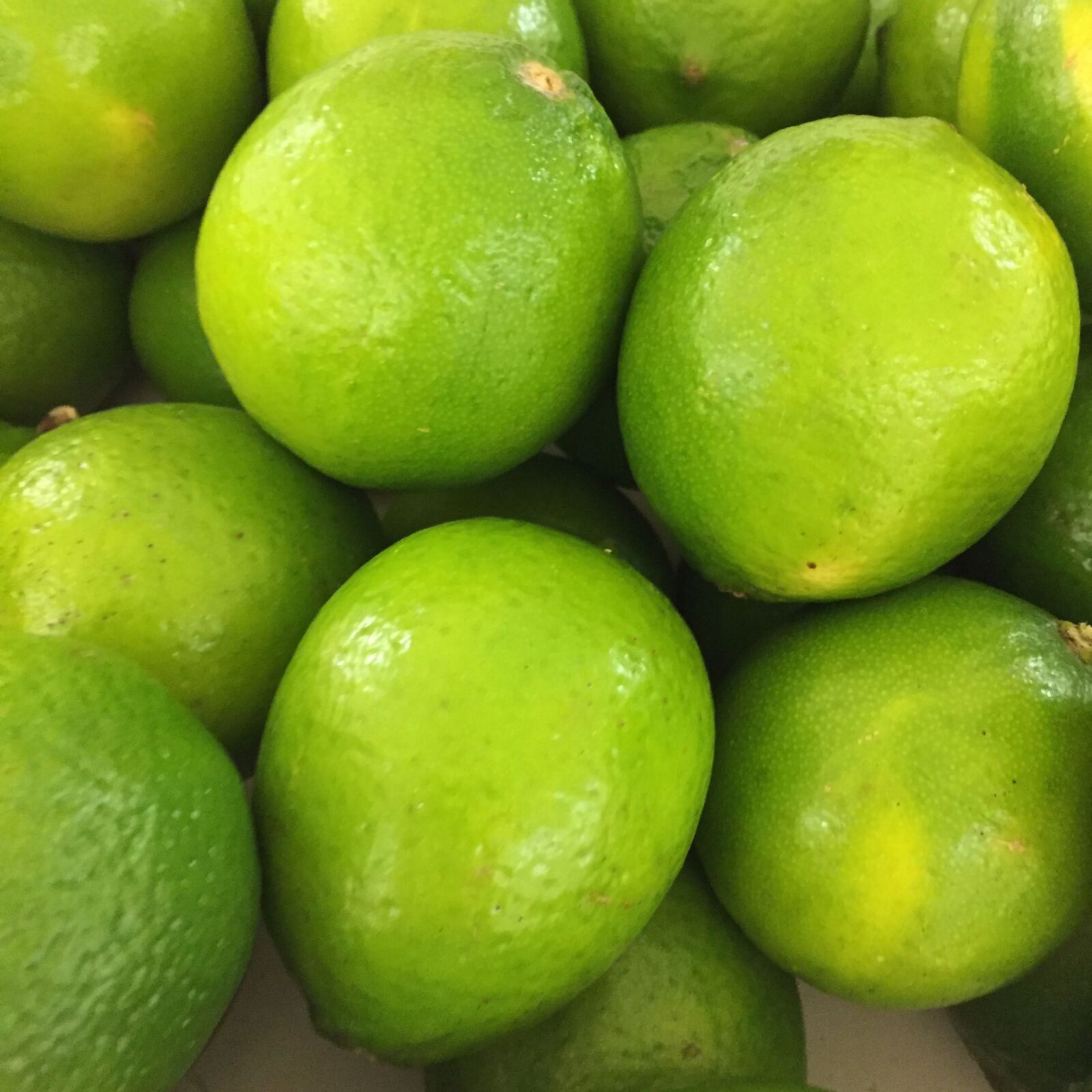 Apple iPhone 6 sample photo. Limes photography