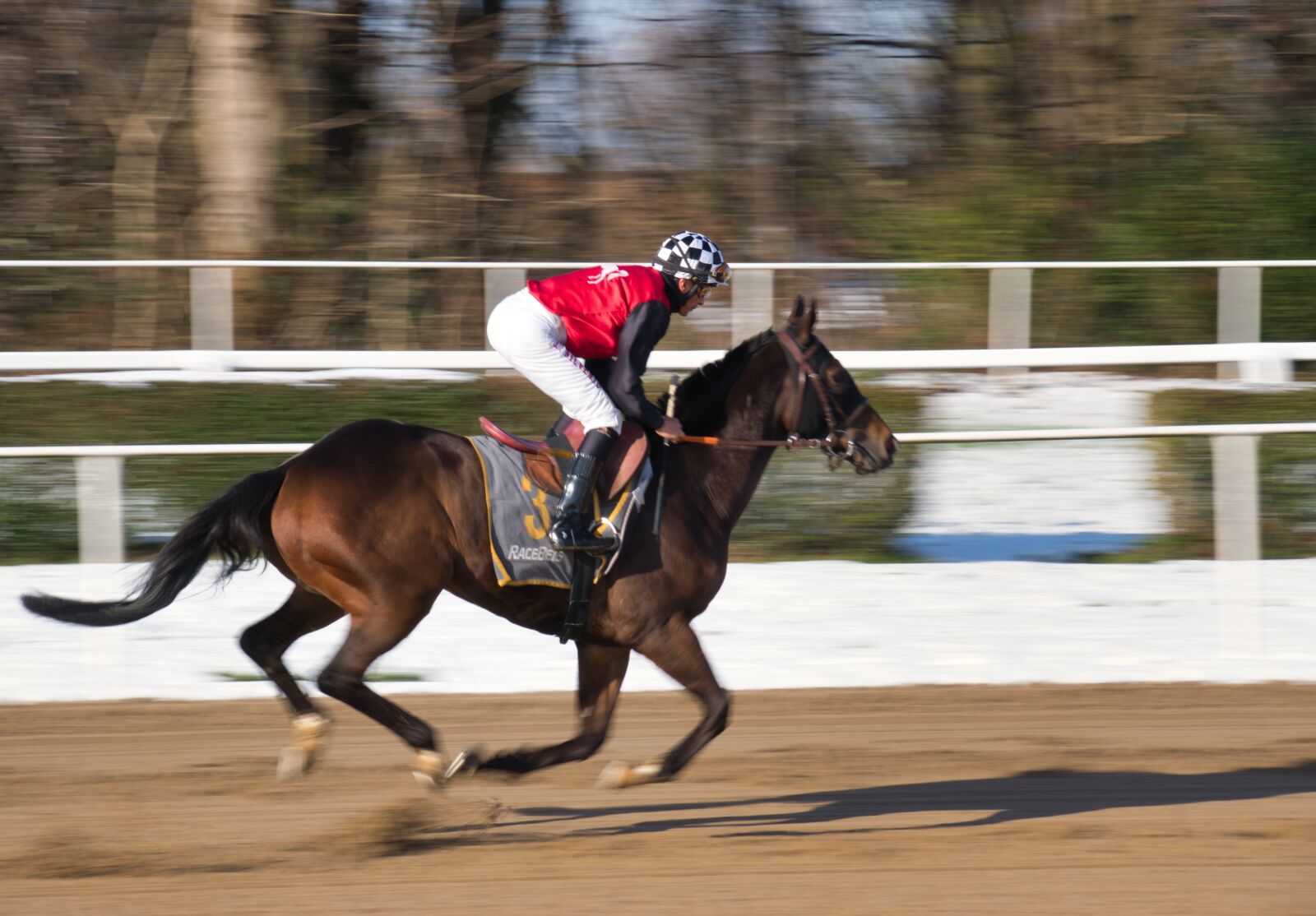 Sony ILCA-77M2 + DT 18-300mm F3.5-6.3 sample photo. Horse racing, gallop, horses photography