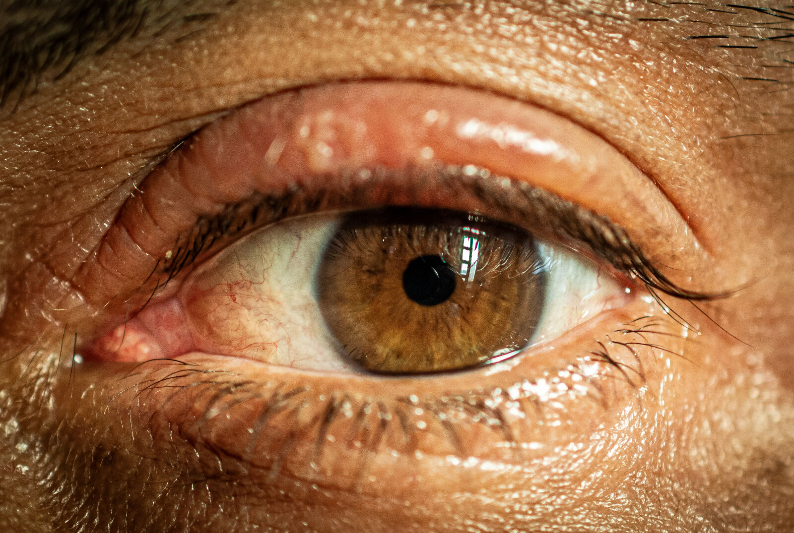 40mm f/2.8G sample photo