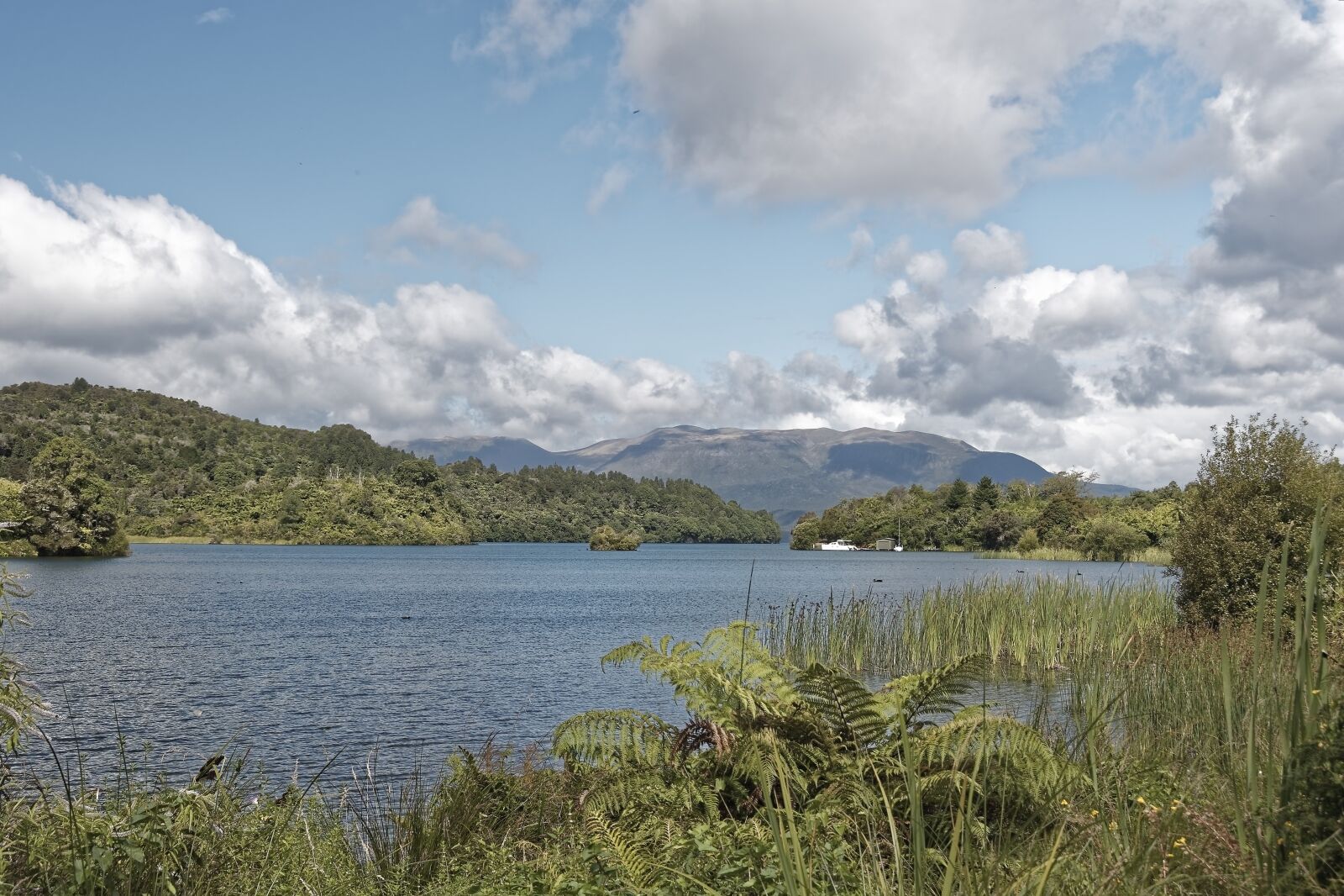 Nikon D500 sample photo. New zealand, lake tarawera photography