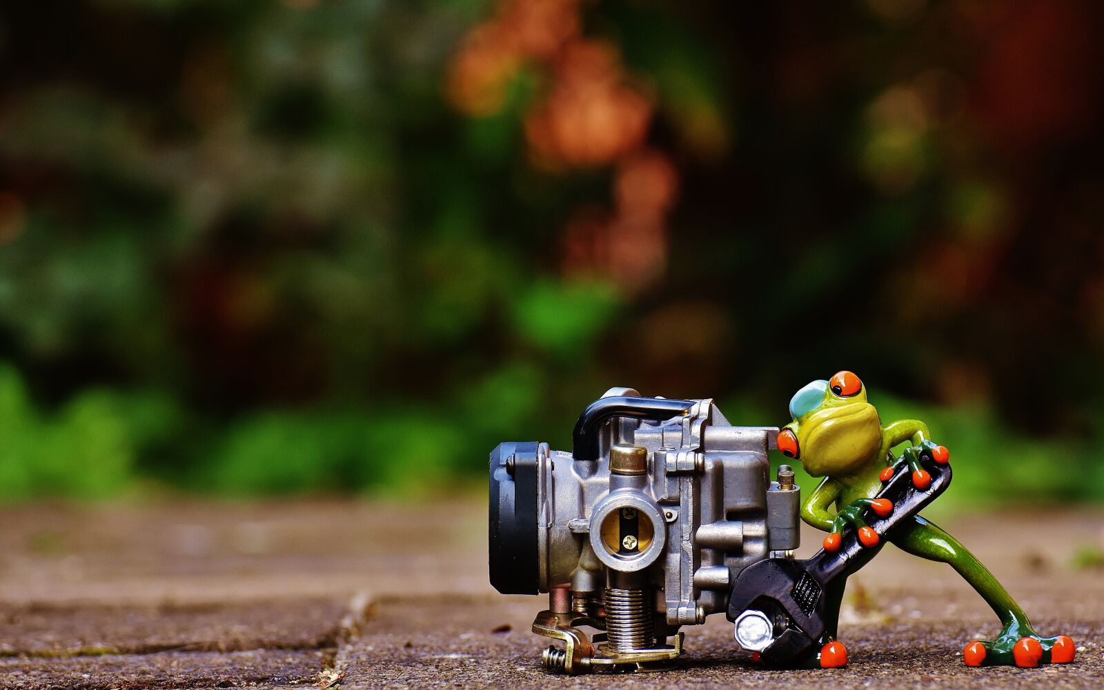 Nikon D7200 sample photo. Frog, mechanic, screwdrivers photography