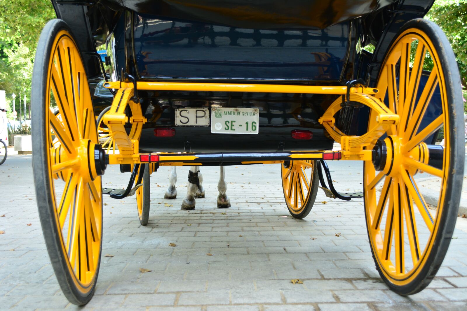 Nikon D5200 sample photo. Spain, wagon, horse photography