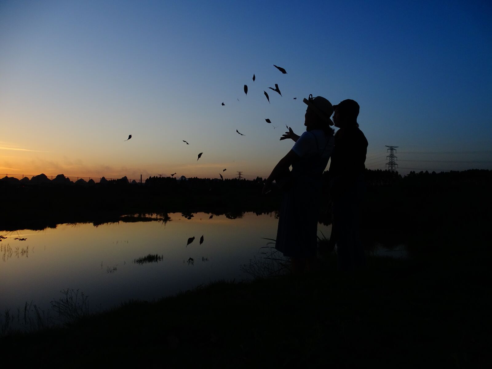 Sony DSC-HX400 sample photo. Silhouette, twilight, reflection photography