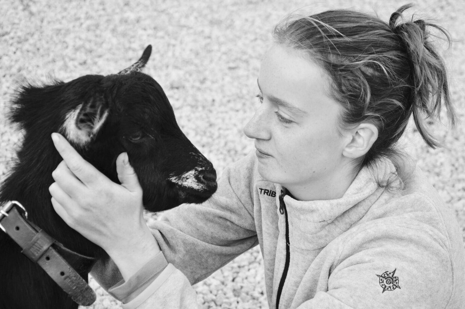Nikon D5200 sample photo. Girl, goat, complicity photography