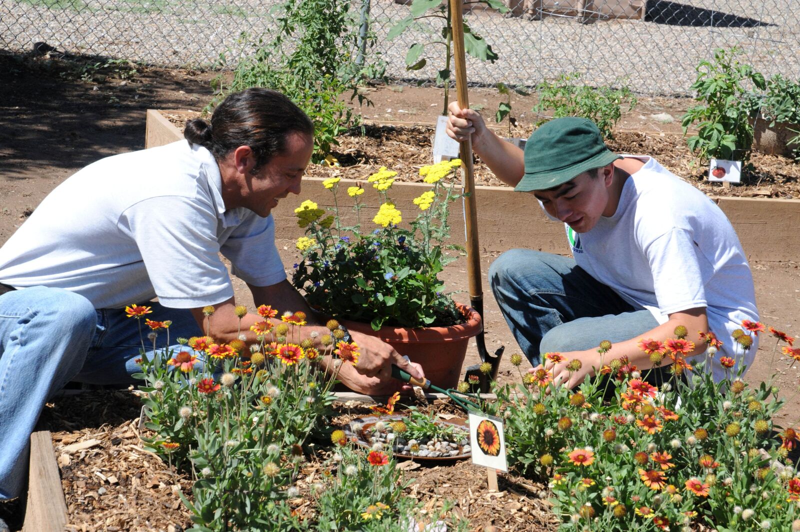 Nikon D300S sample photo. Work, community, garden photography