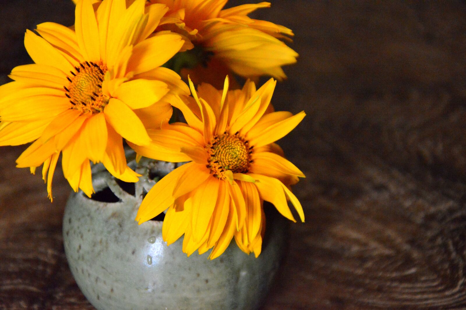 Nikon D3200 sample photo. Decoration, vase, flower vase photography