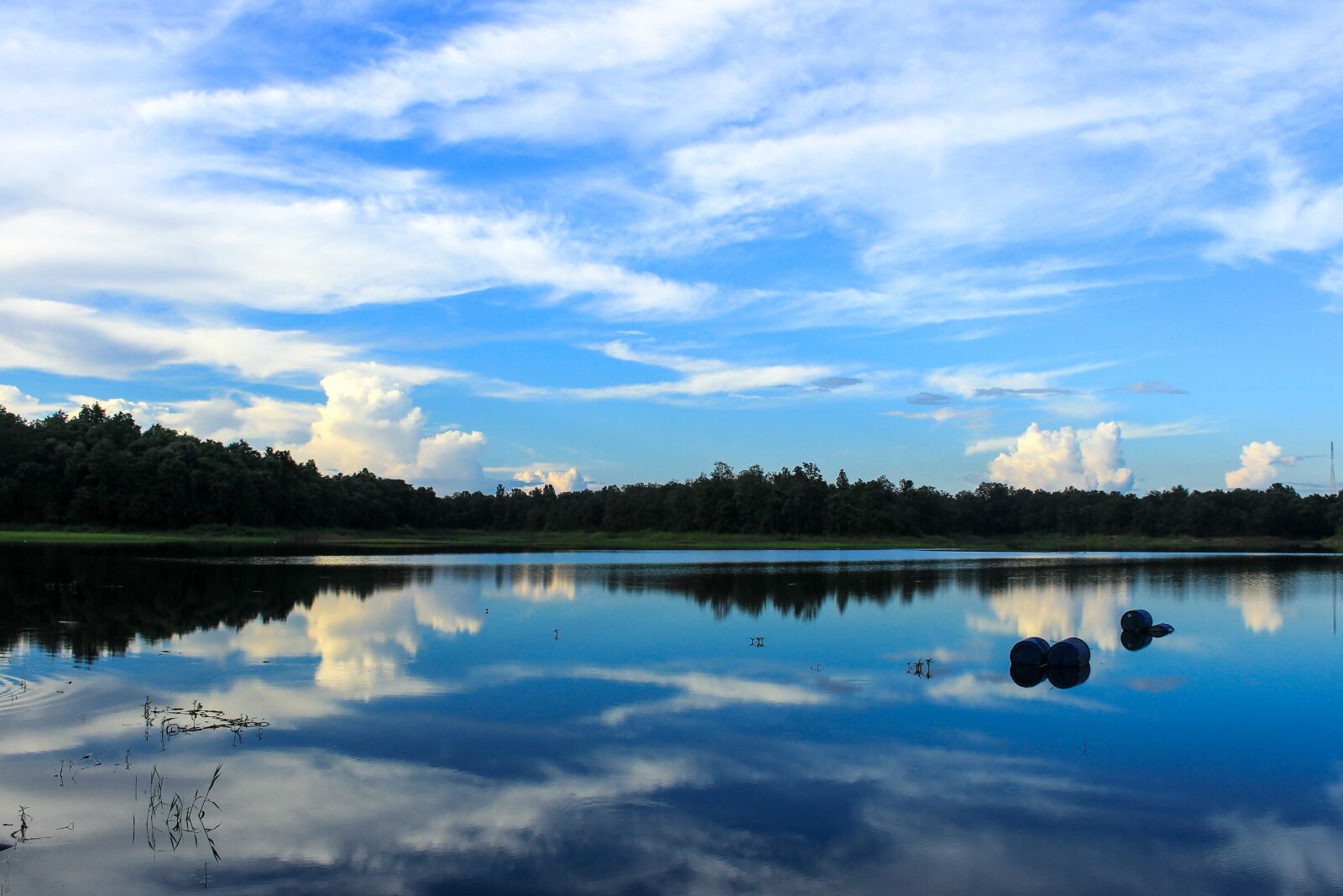 Canon EOS 700D (EOS Rebel T5i / EOS Kiss X7i) sample photo. Marsh, water, reflection photography