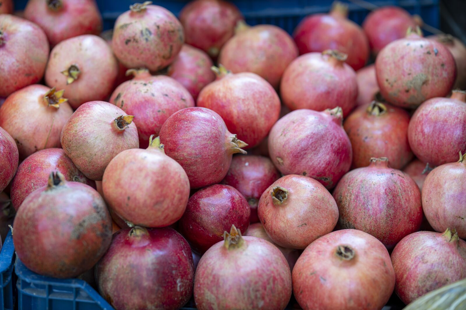 Canon RF 85mm F1.2L USM sample photo. Pomegranate, pomegranates, fruit photography