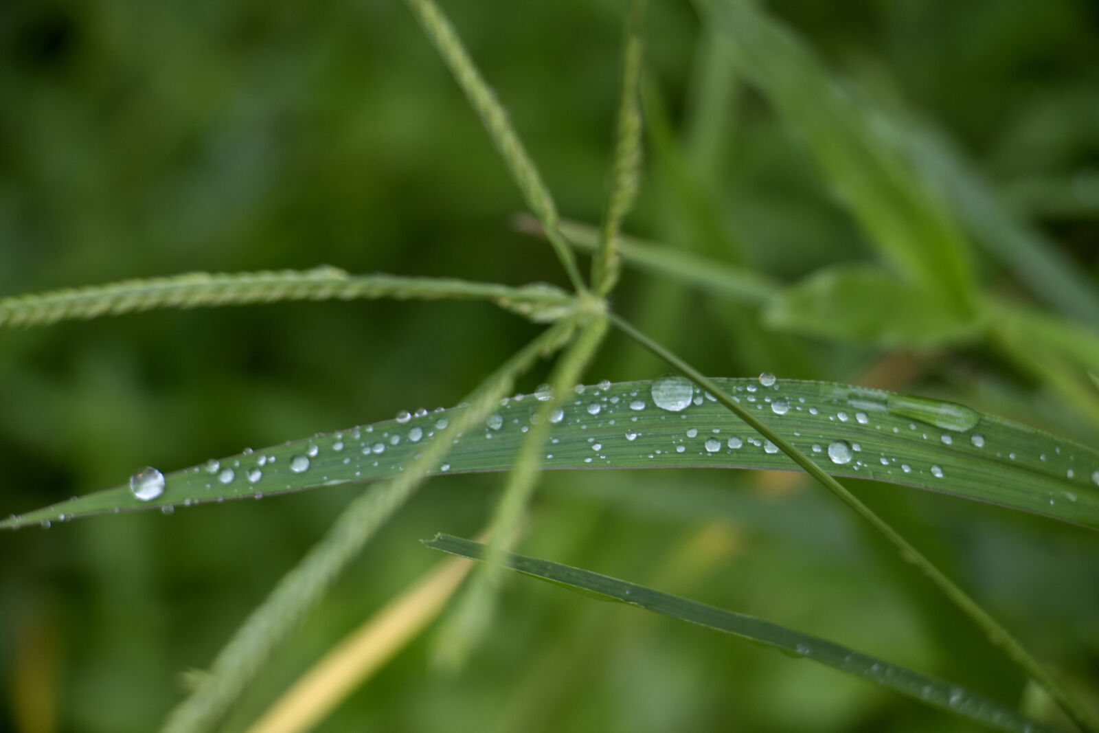 Canon EOS 70D sample photo