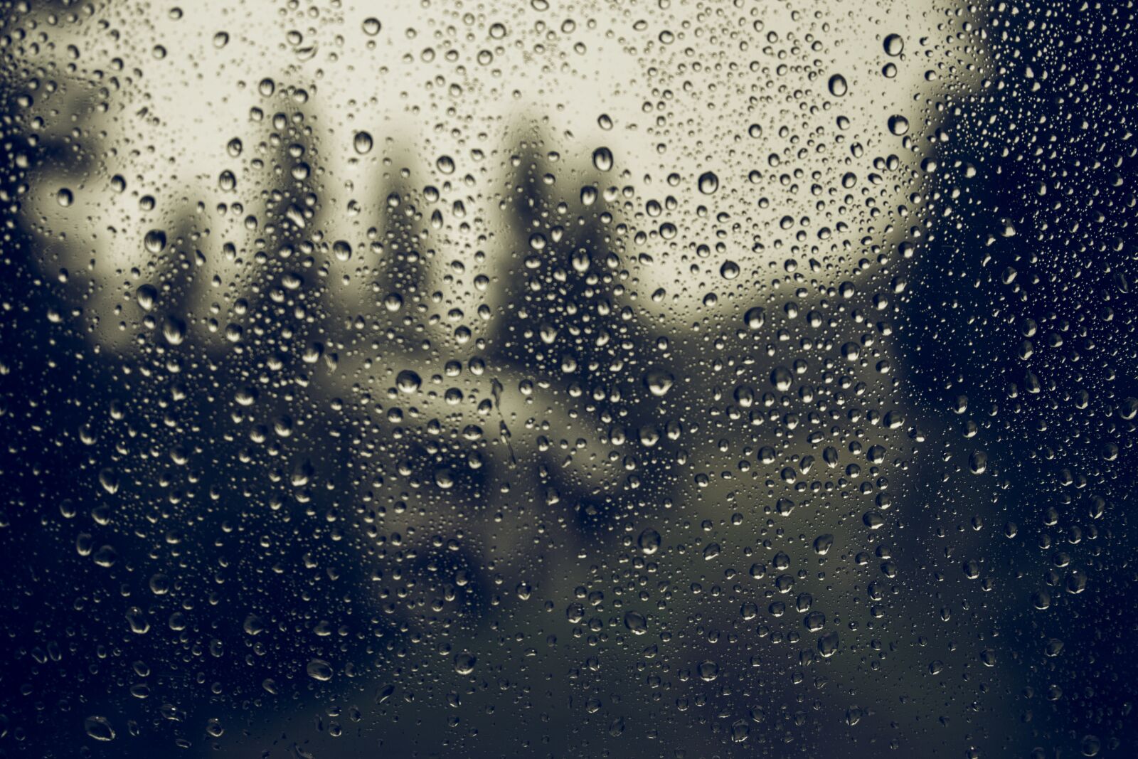 Canon EOS 100D (EOS Rebel SL1 / EOS Kiss X7) sample photo. Glass, drops, rain photography