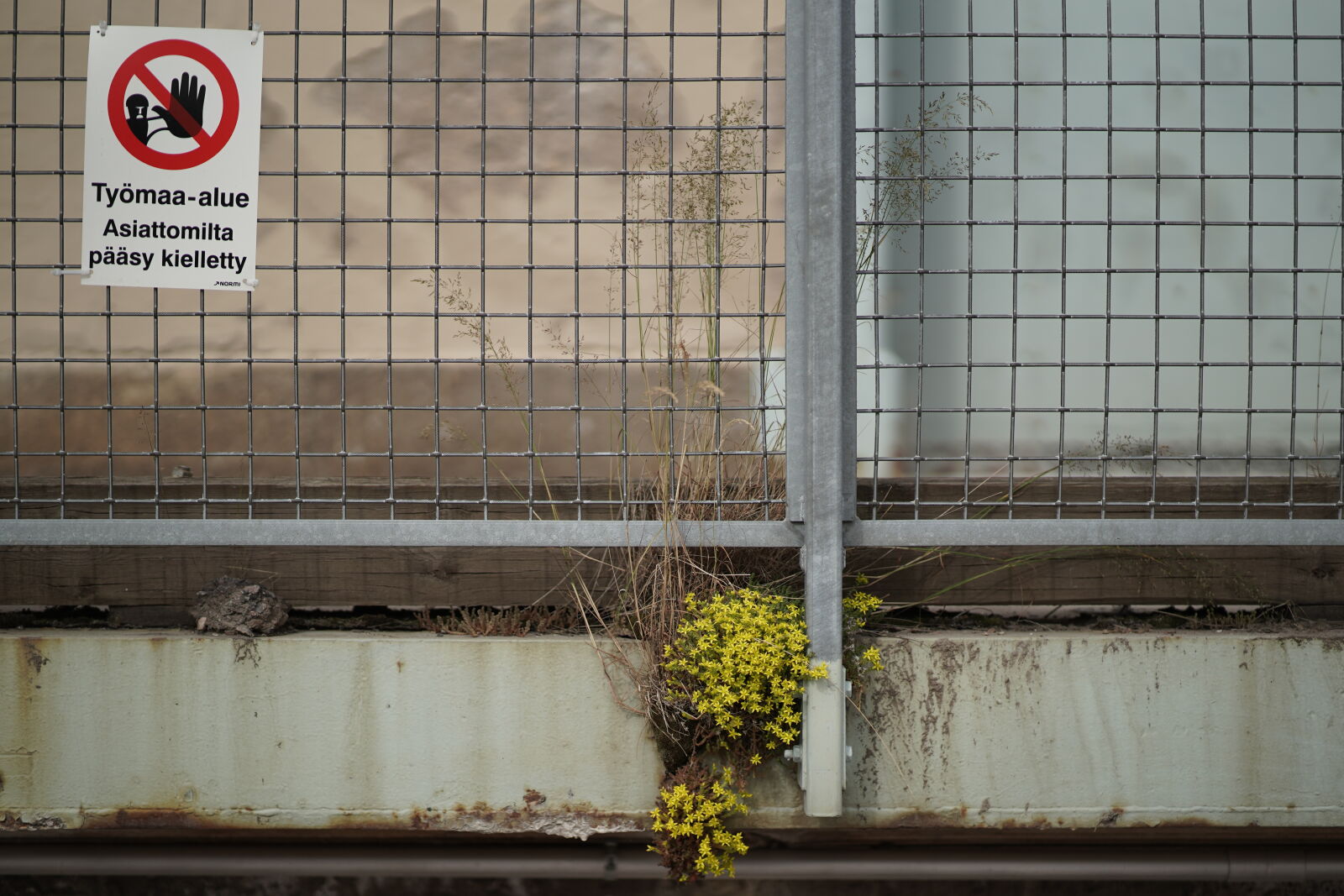 Sony a9 sample photo. No entry for plants photography