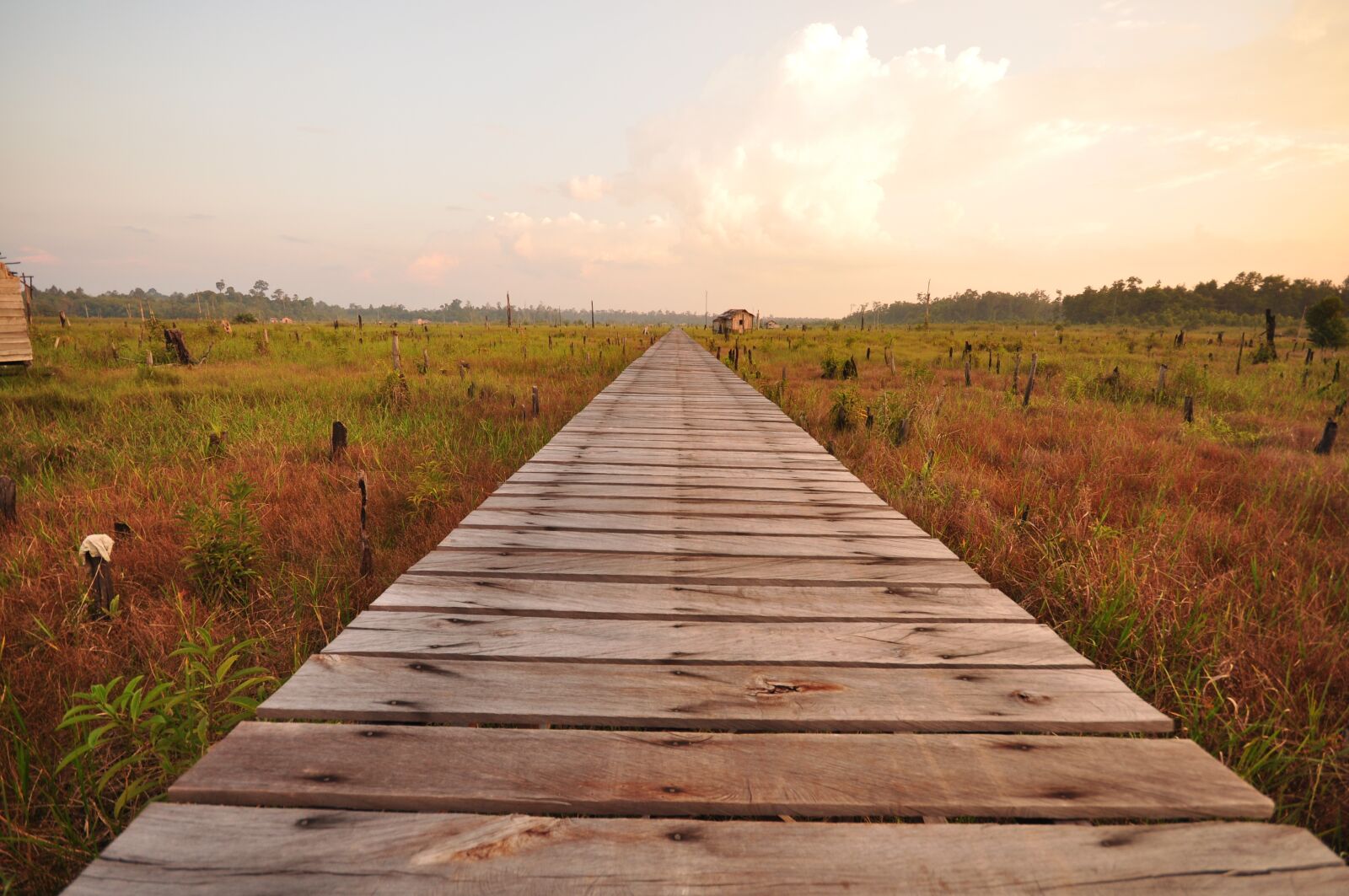 Nikon D90 sample photo. Buntok, kalimantan, indonesia photography