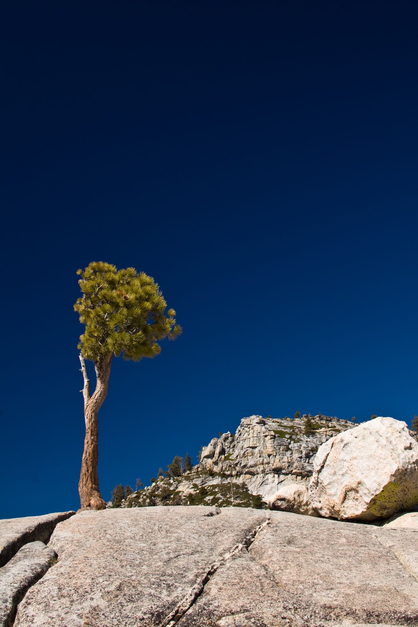 Nikon D50 sample photo. Yosemite, national park, california photography