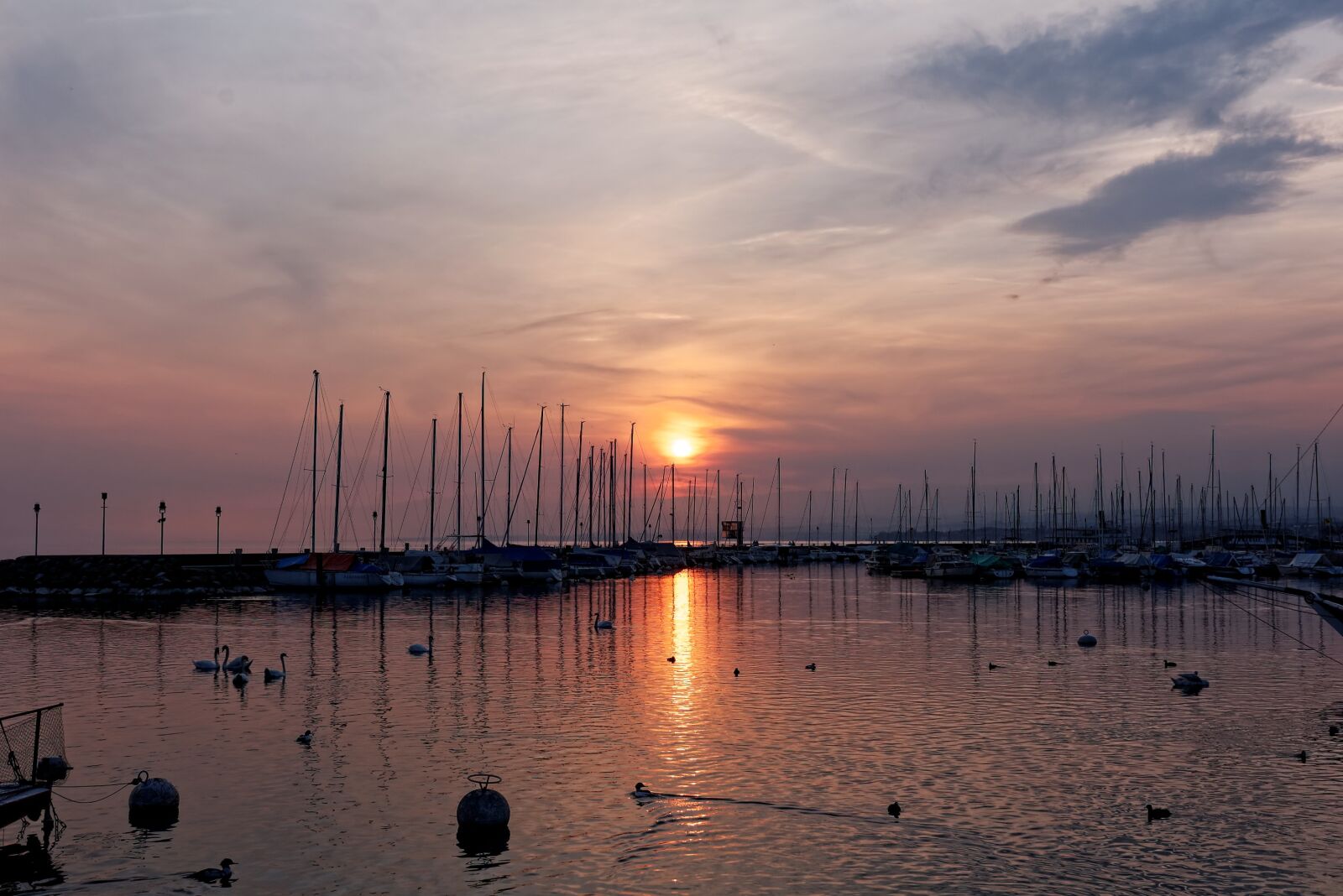 Nikon D50 sample photo. Ouchy, sunset, lausanne photography