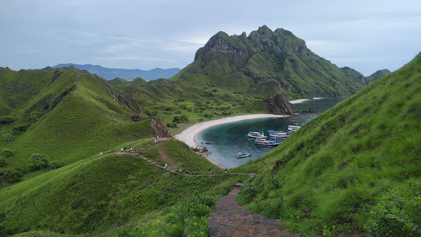 Xiaomi Redmi Note 6 Pro sample photo. Komodo, green, nature photography