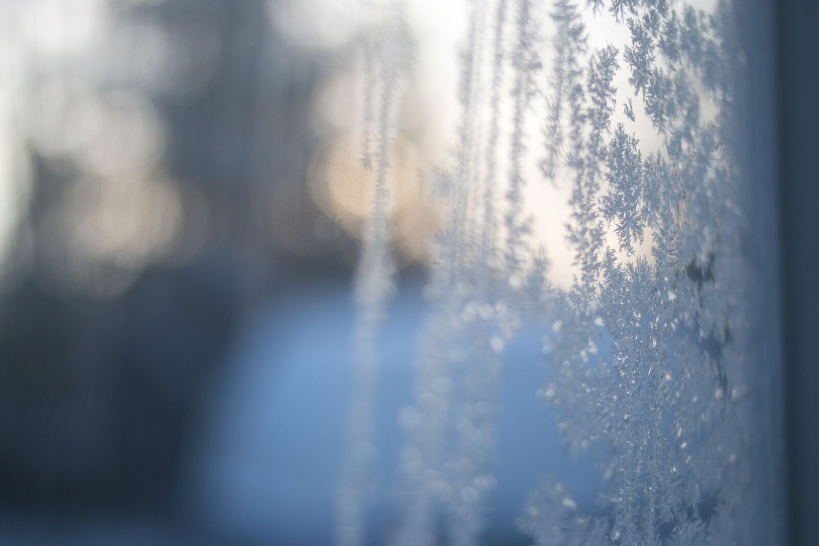 Canon EF 35mm F2 sample photo. Frost, light, ice photography