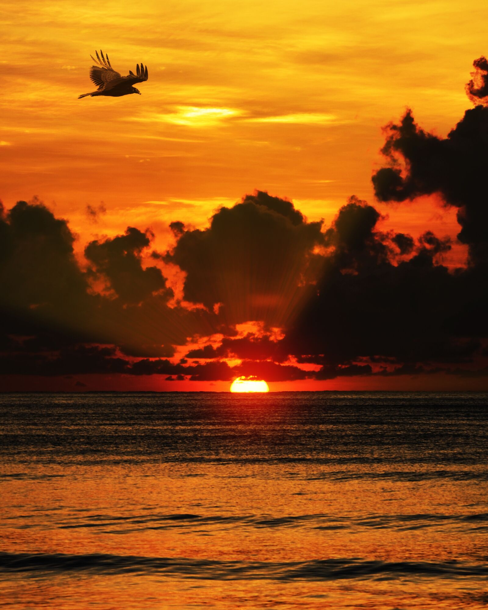 Nikon D7000 sample photo. Sunset, sea, clouds photography