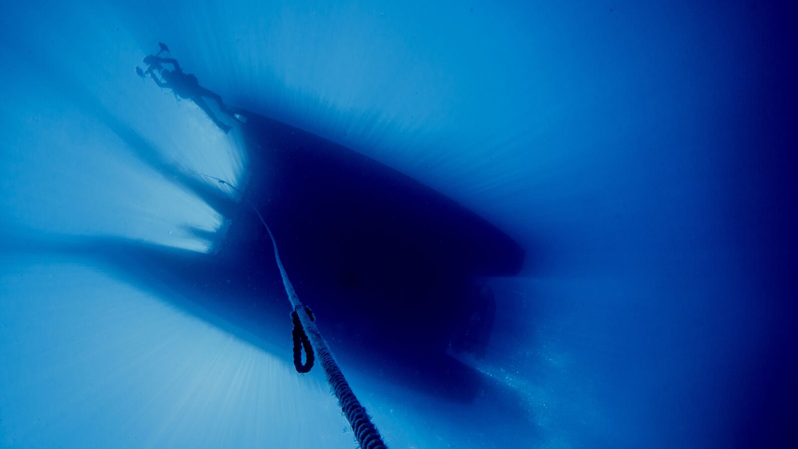 Olympus PEN E-PL6 sample photo. Diving, underwater, water photography
