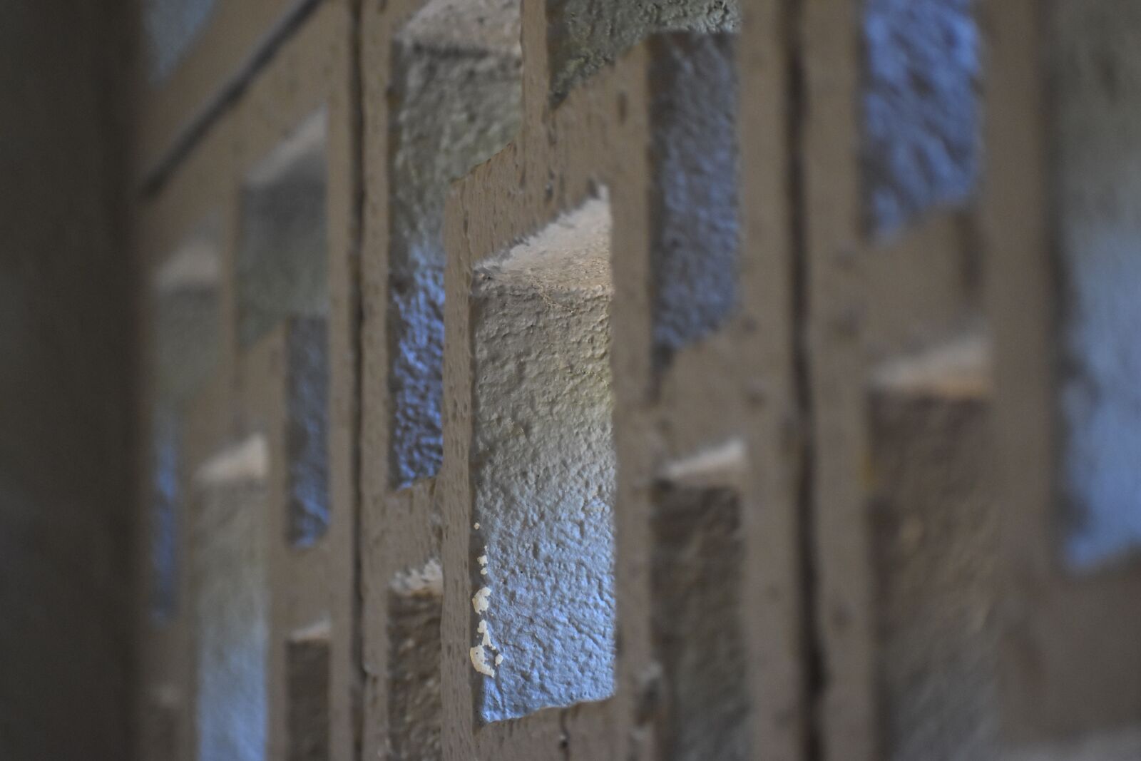 Nikon D3500 sample photo. Pattern, wall, texture photography