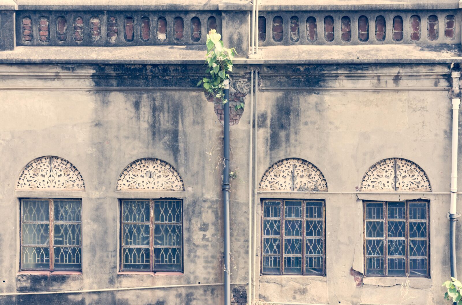 Nikon D3400 sample photo. Old, building, windows photography