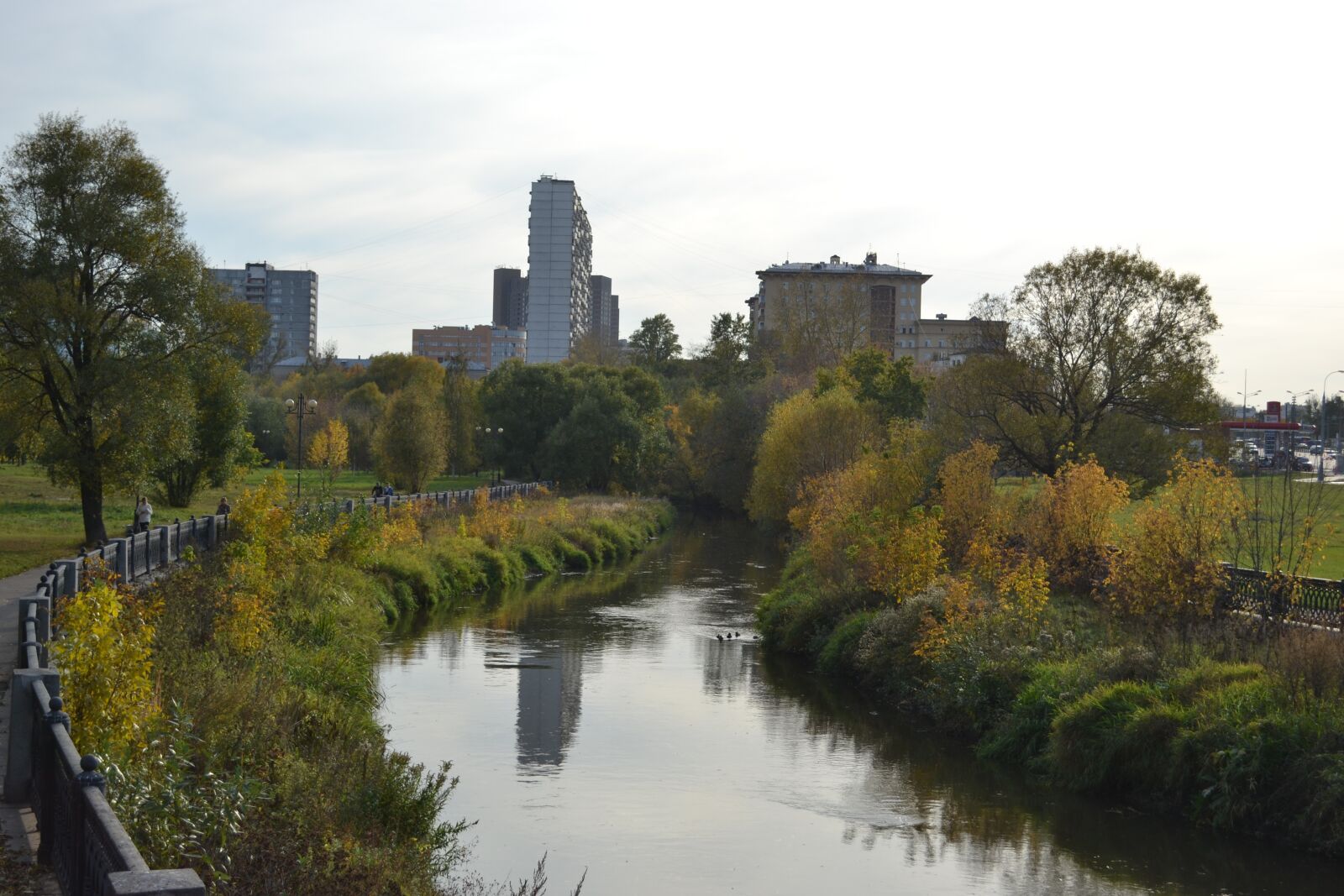 Nikon D3100 sample photo. River, park, landscape photography
