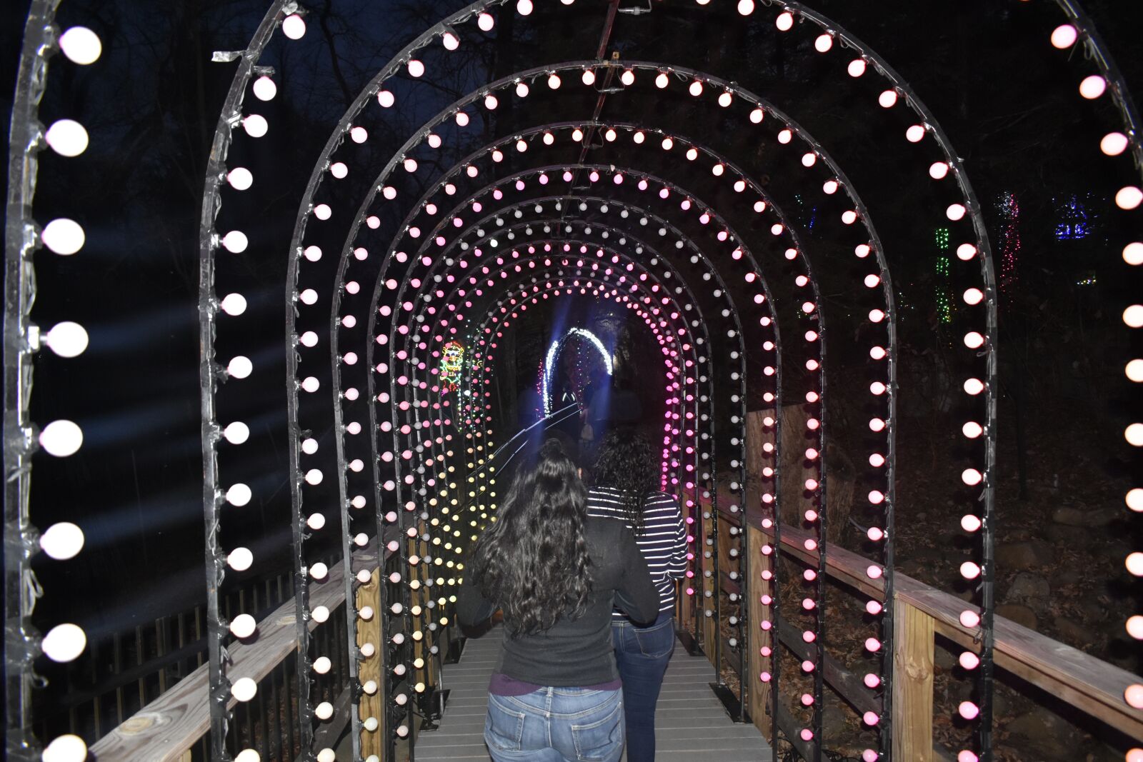 Nikon D3400 sample photo. Passover, of, lights photography