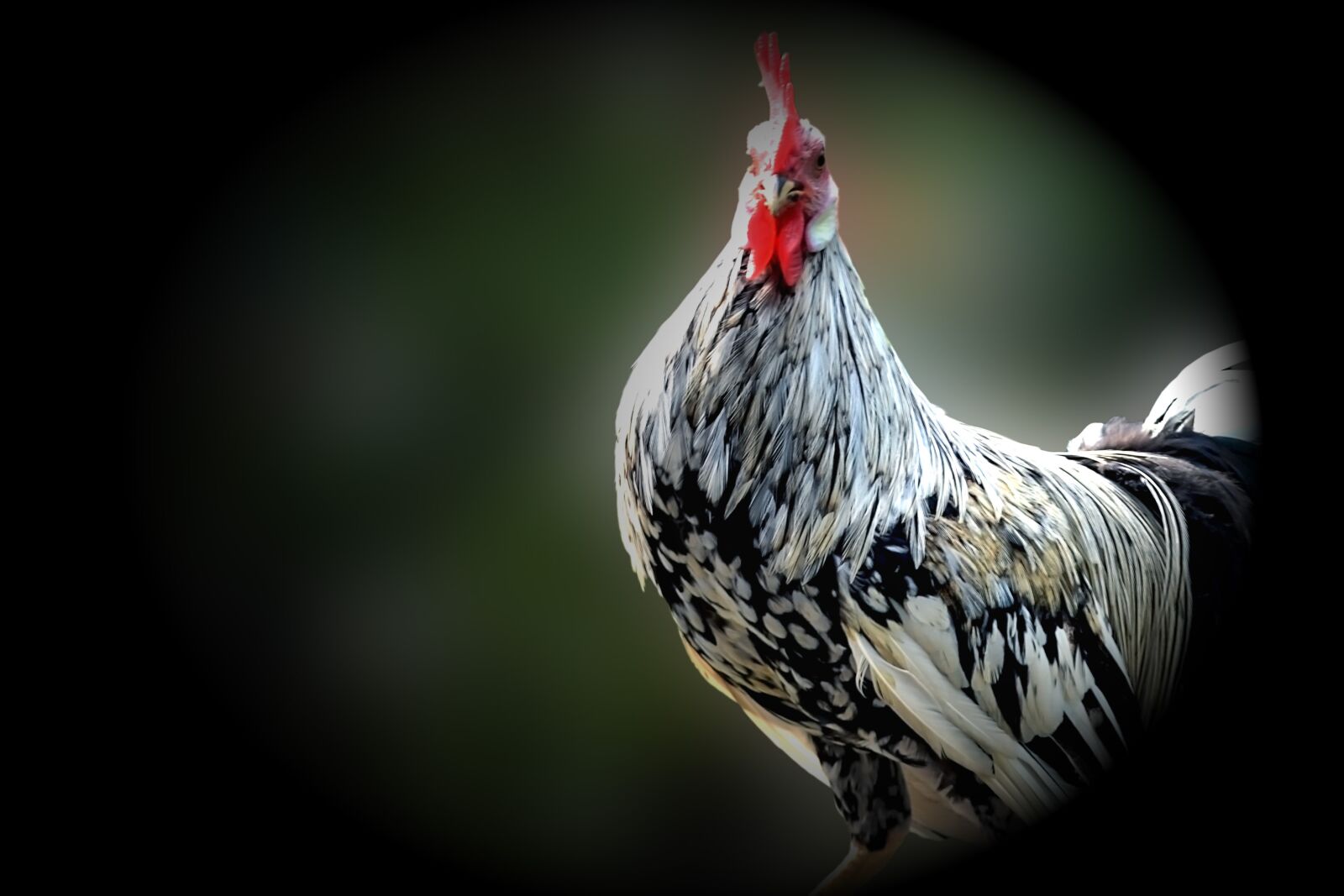 Nikon D3100 sample photo. Asian, relax, chick photography