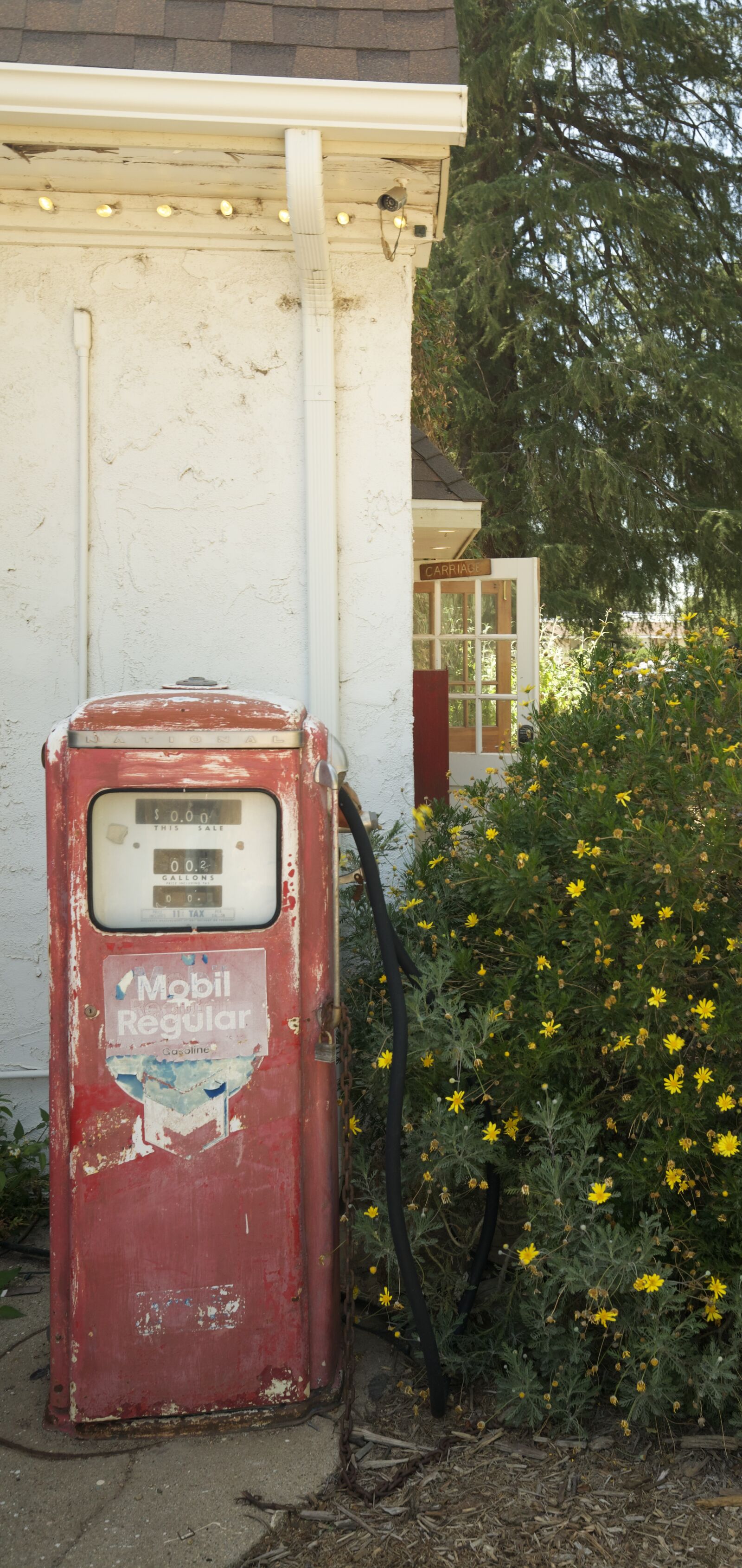 Canon EF 16-35mm F4L IS USM sample photo