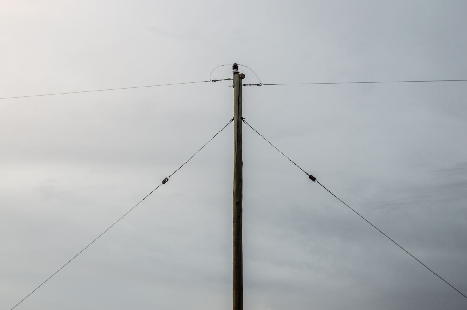 Nikon D3200 sample photo
