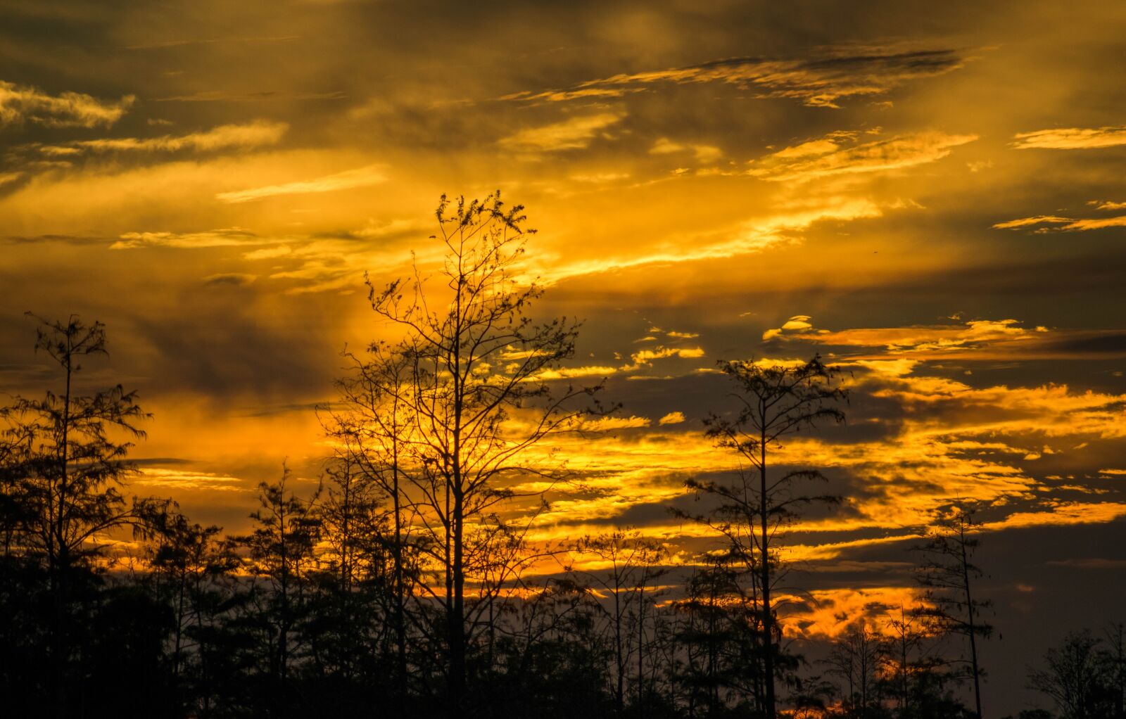Nikon D5300 sample photo. Sunset, dusk, sun photography