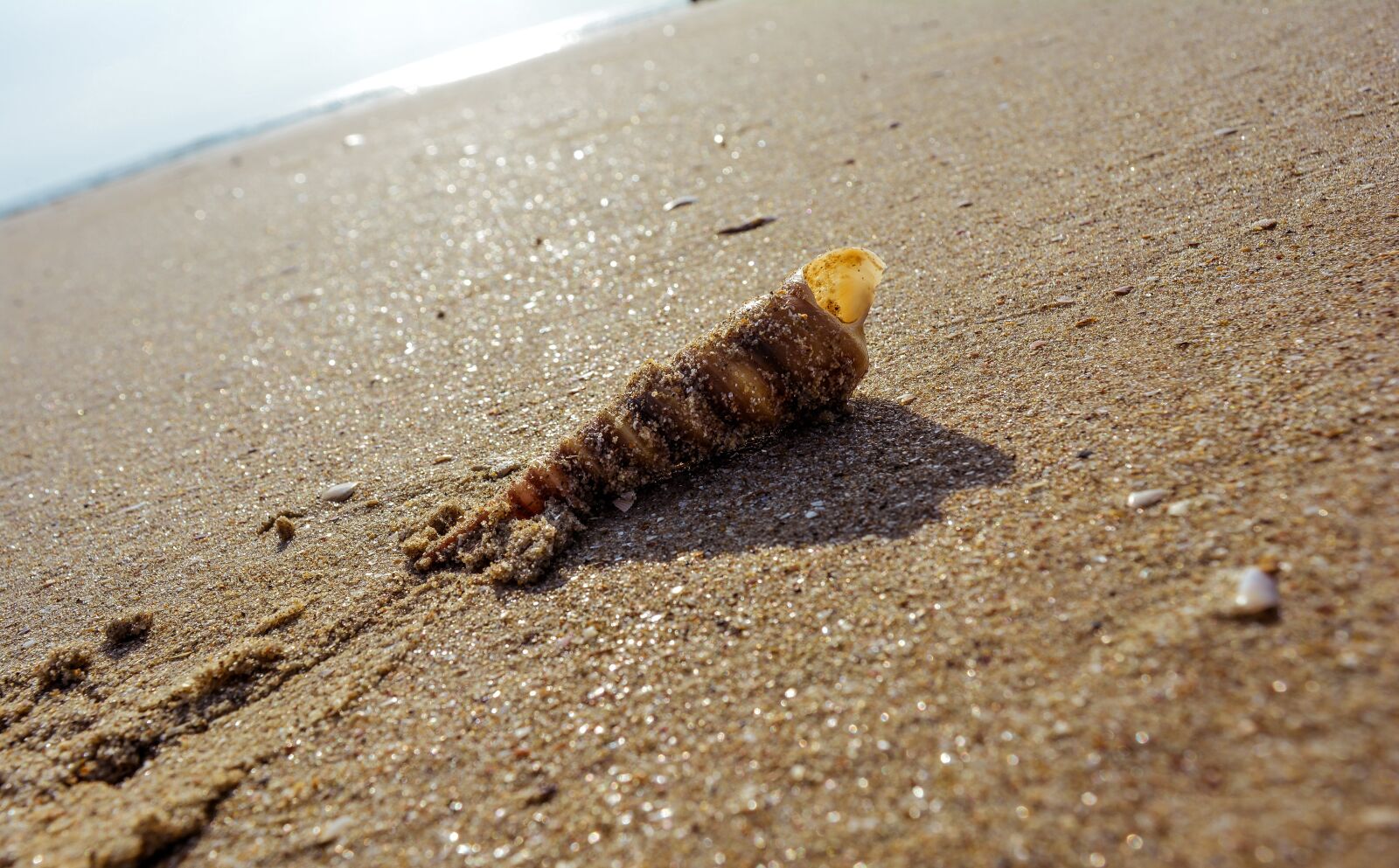 Nikon D5200 sample photo. Ocean, beach, nature photography