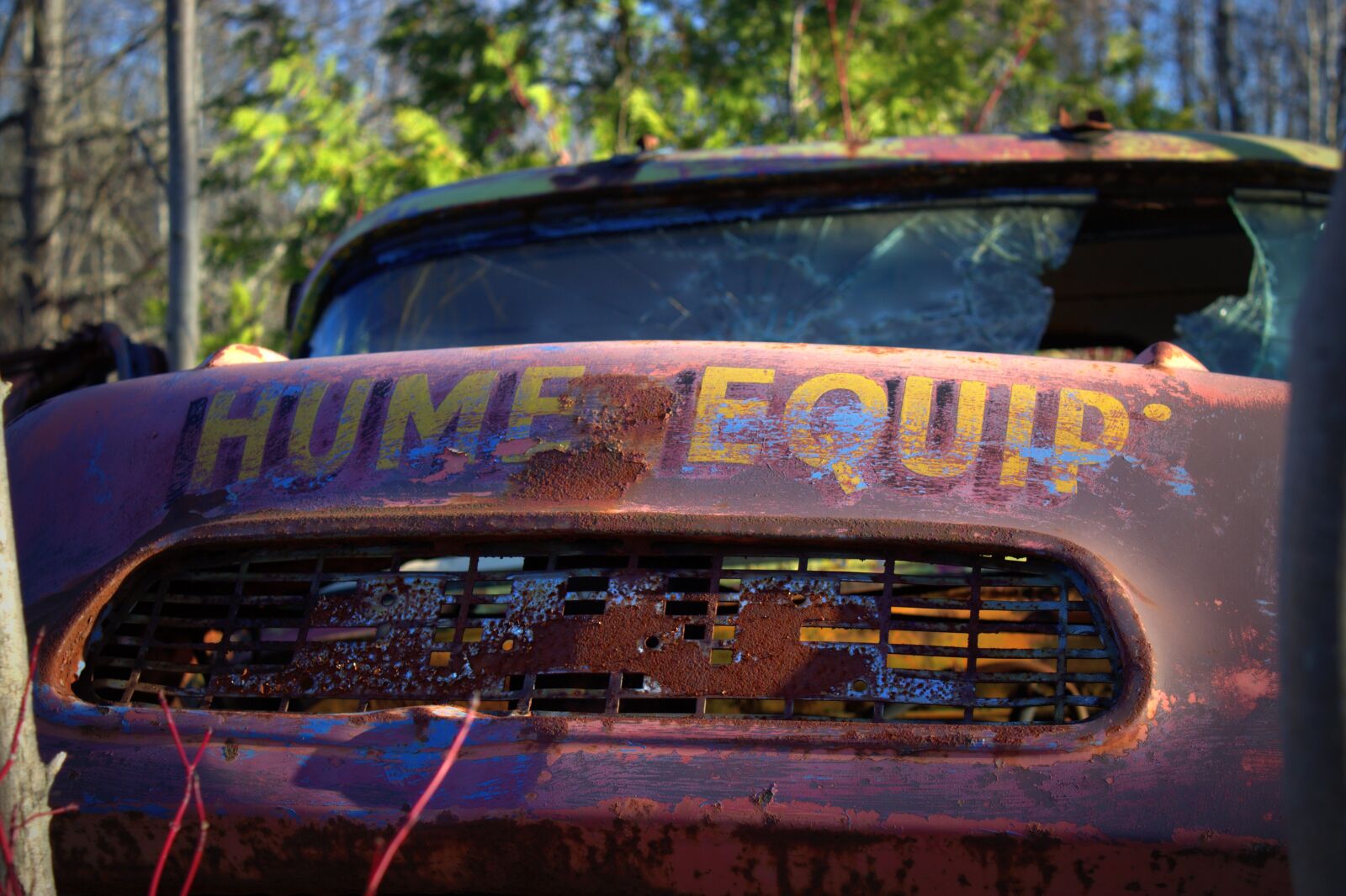 Canon EOS 600D (Rebel EOS T3i / EOS Kiss X5) sample photo. Salvage yard, car, wreck photography