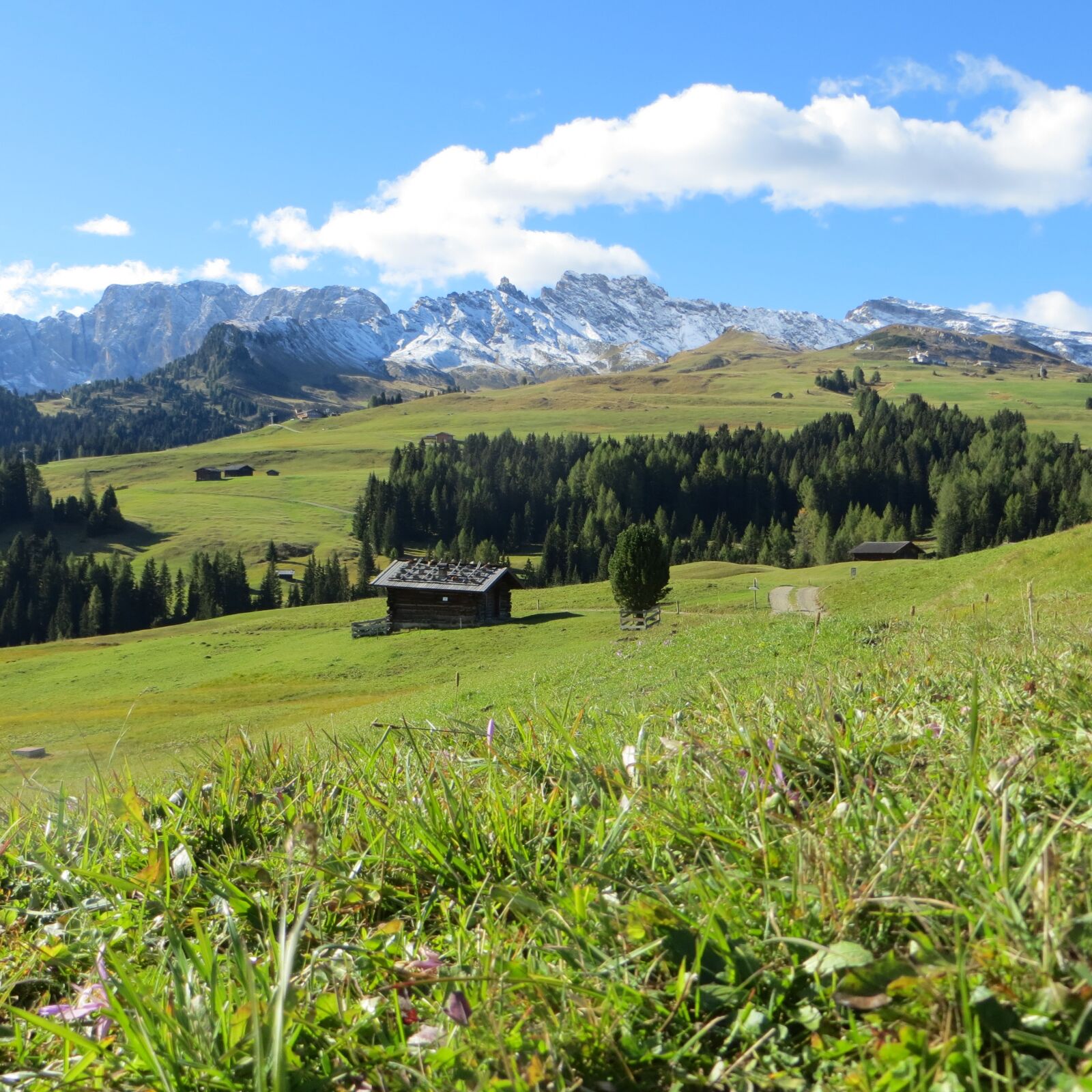 Canon PowerShot SX260 HS sample photo. Seiser alm, south tyrol photography