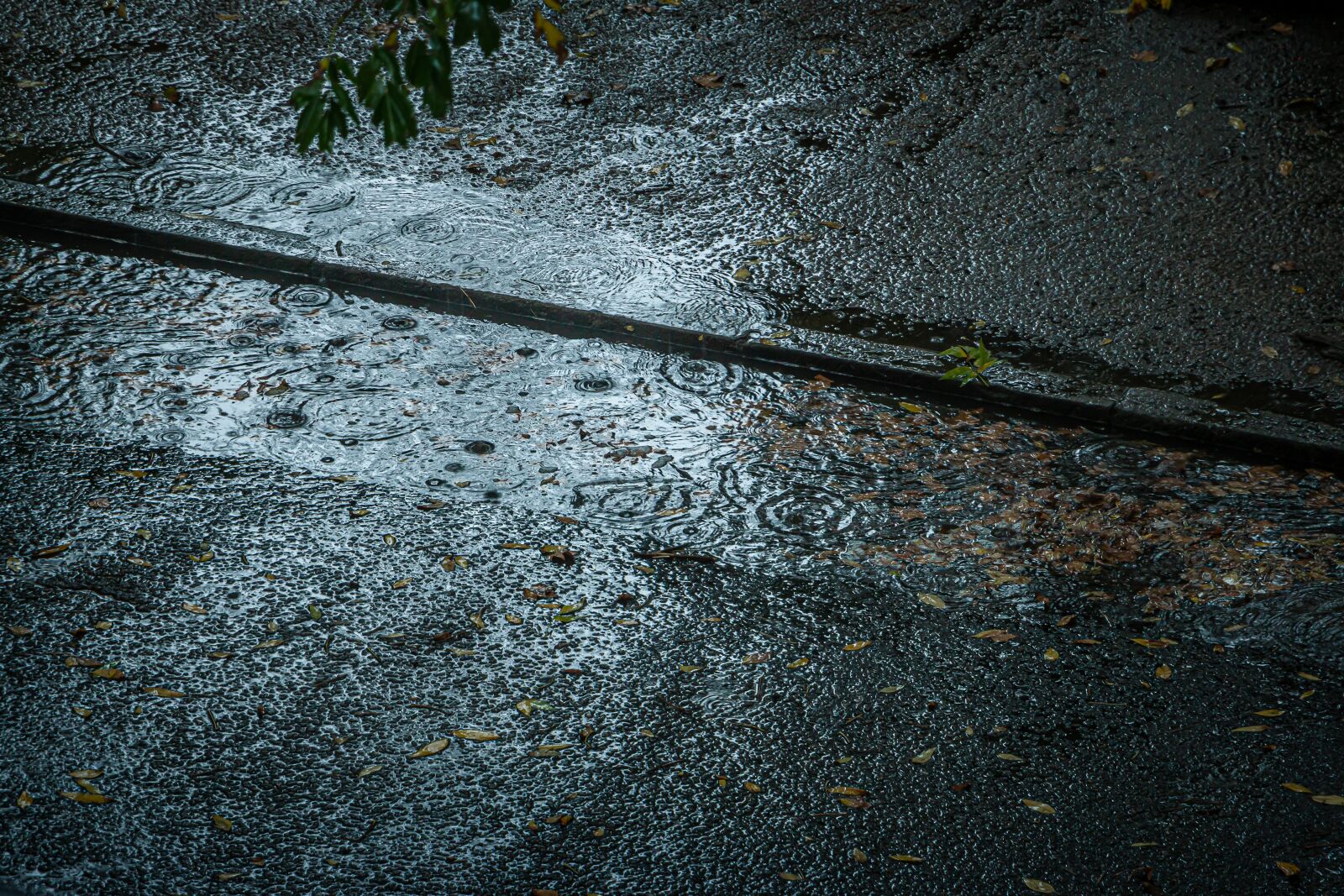 Canon EOS 70D sample photo. Street, city, urban photography